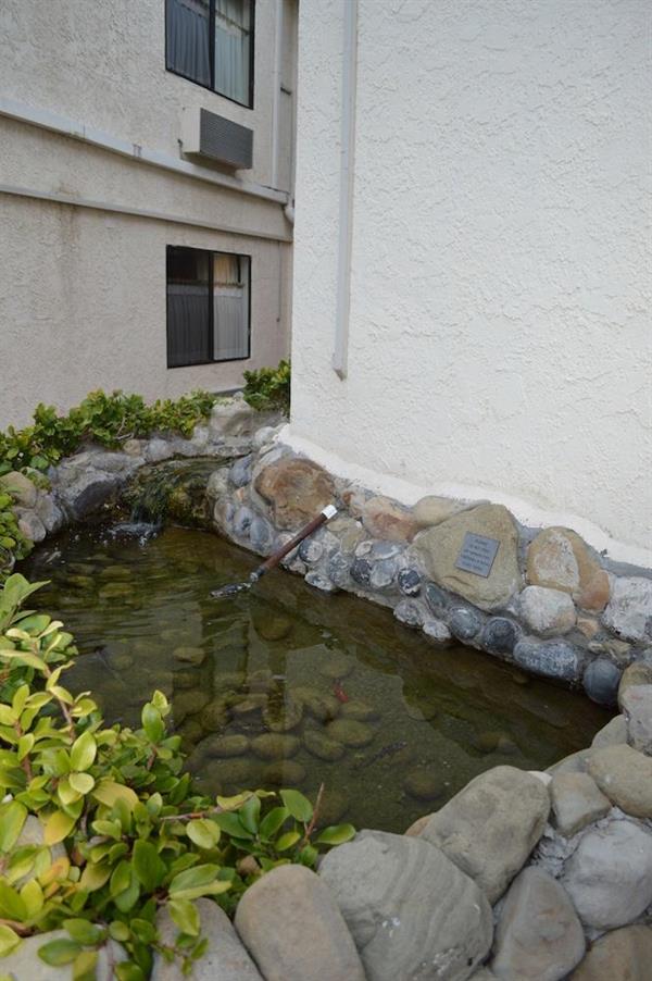 Фото Jolly Roger Hotel