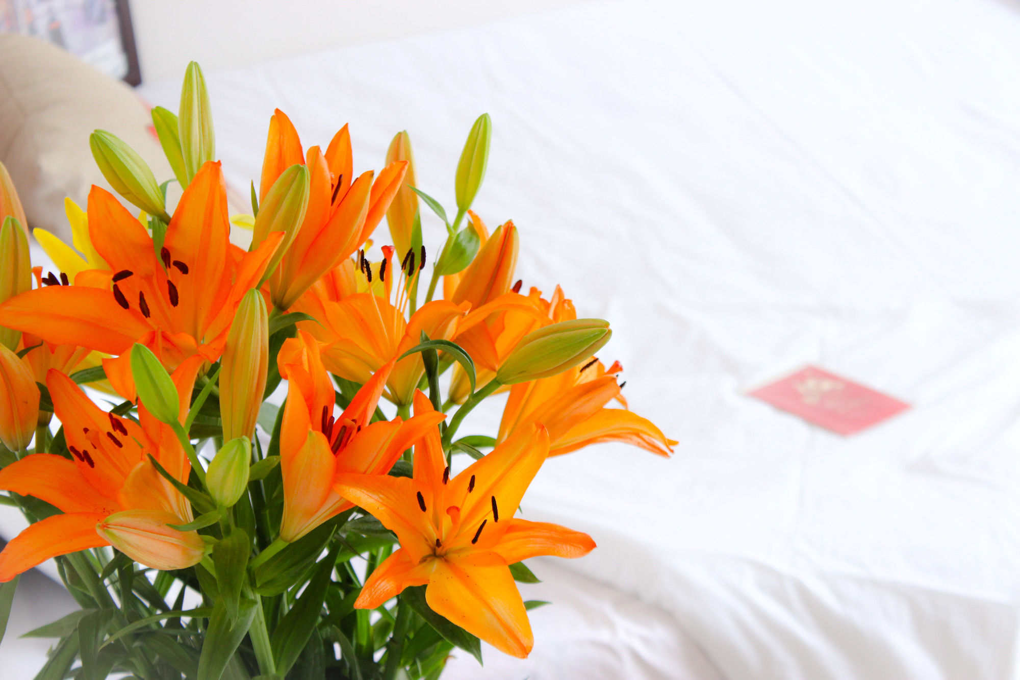 Фото Bc Family Homestay - Hanoi's Heart