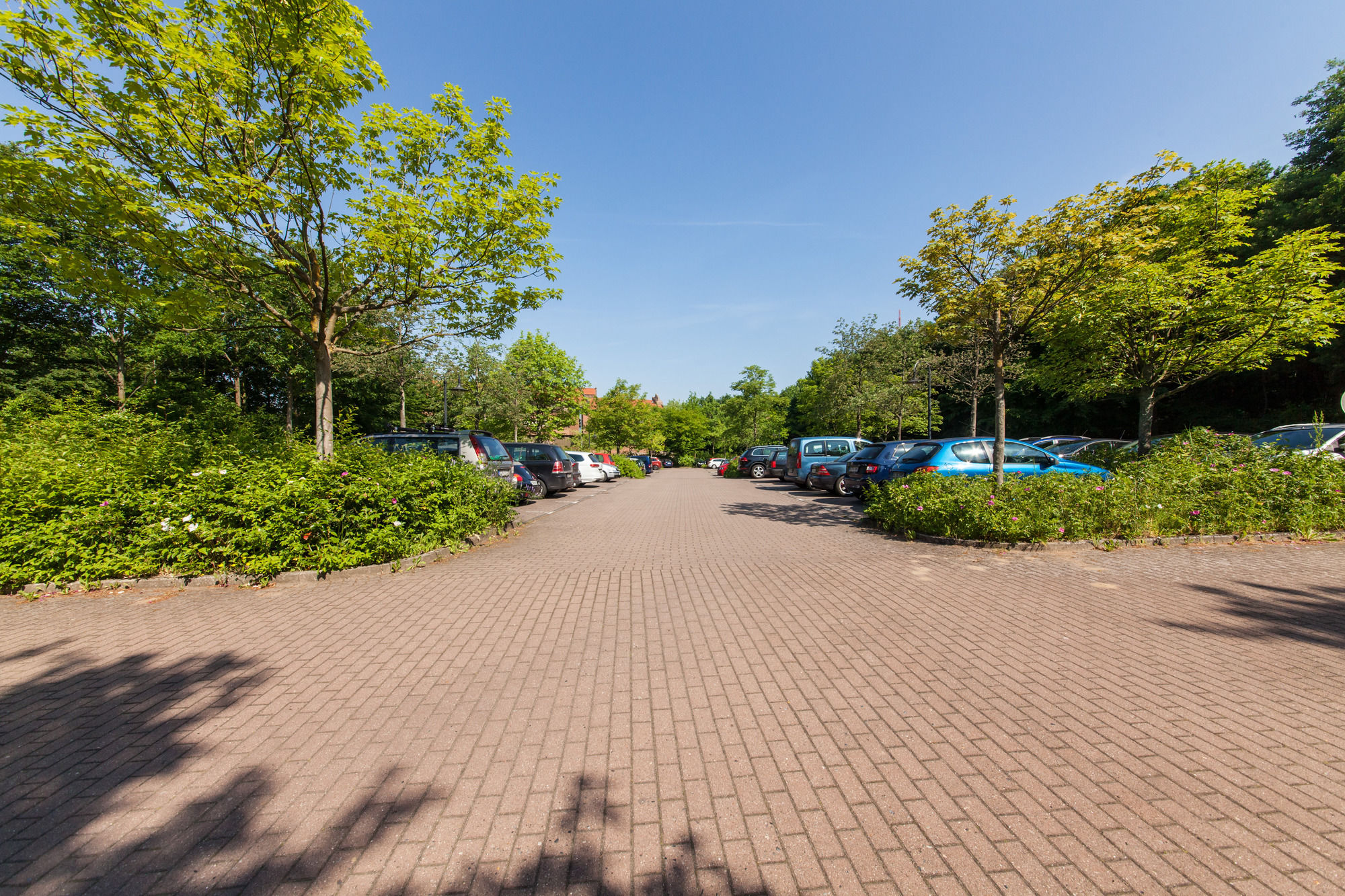 Фото Novum Akademiehotel Kiel