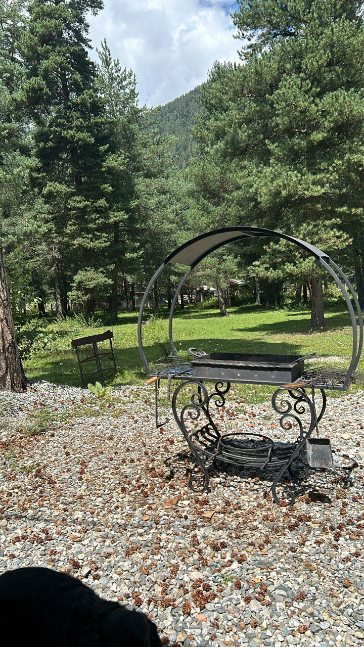 Фото Cabin Shale