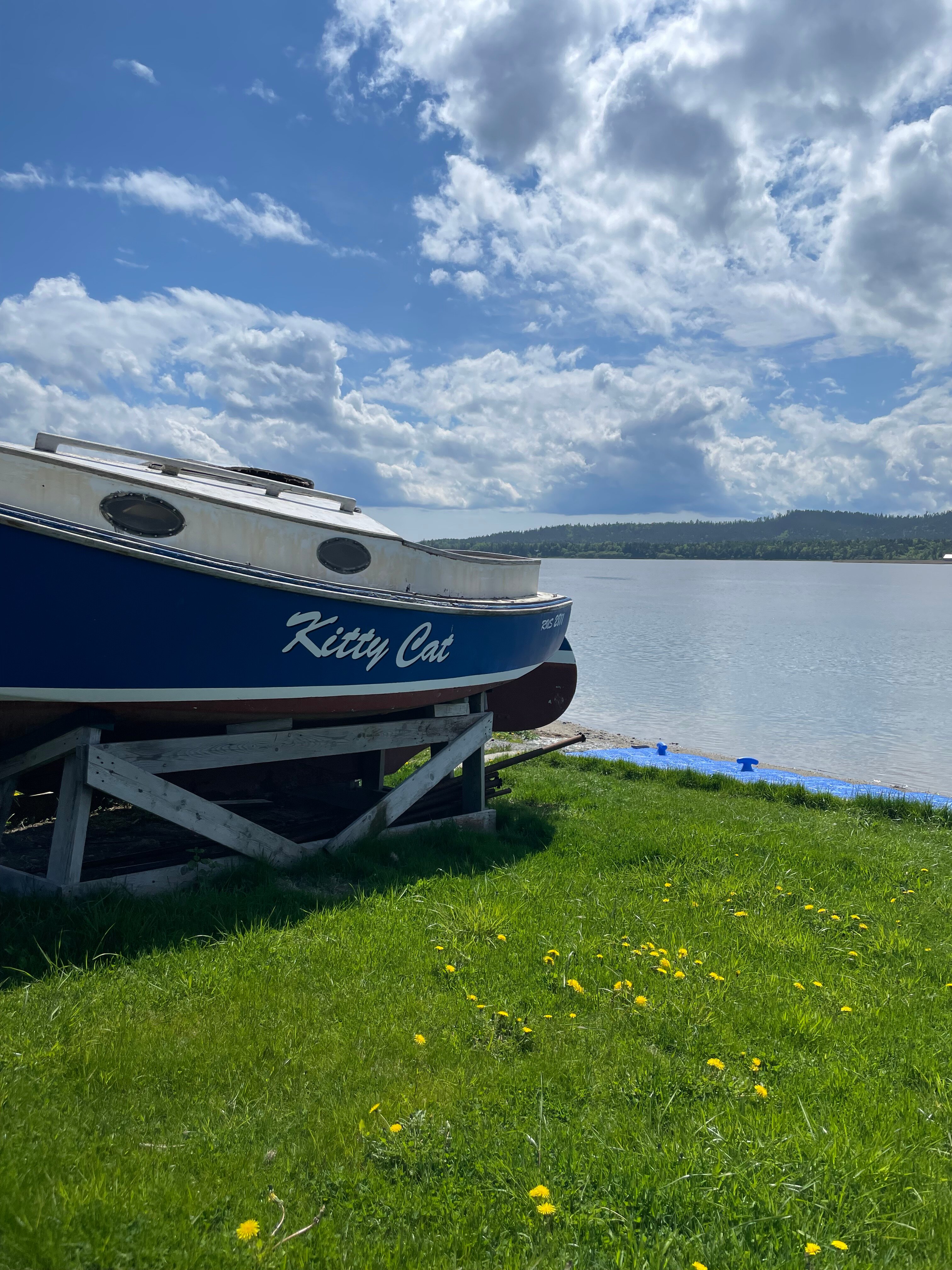 Фото Дача в Охотске