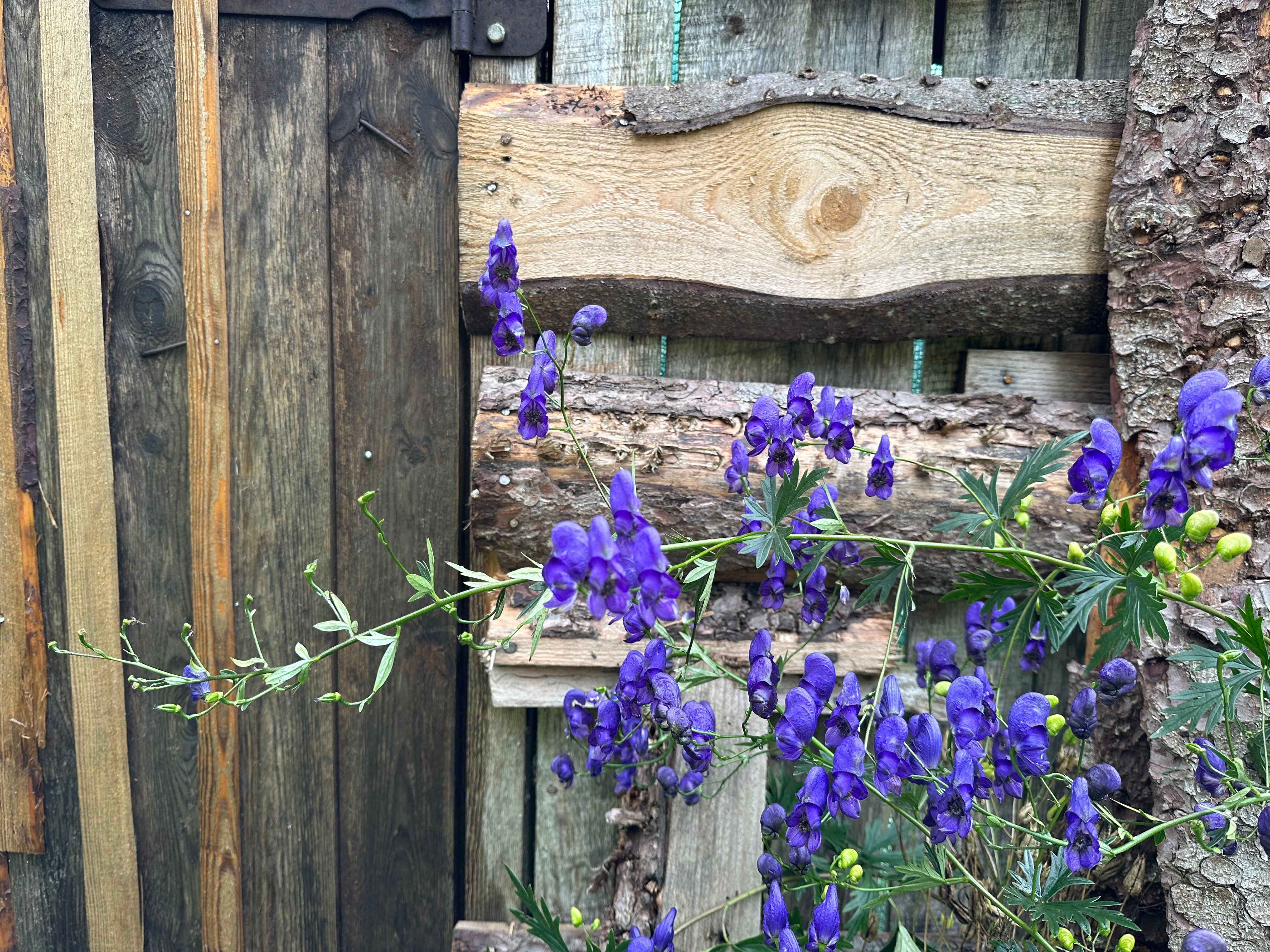 Фото Охотник и рыболов