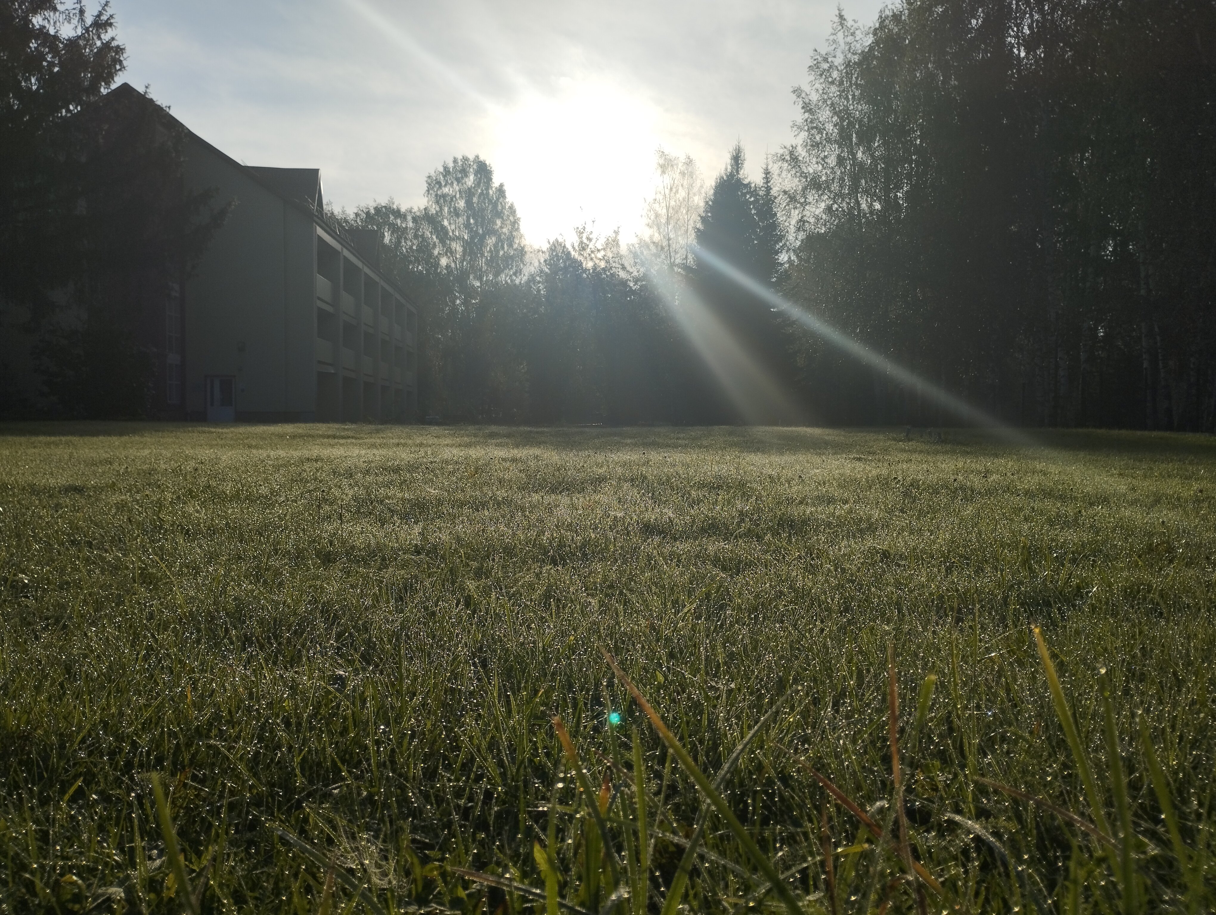 Фото Фантазия