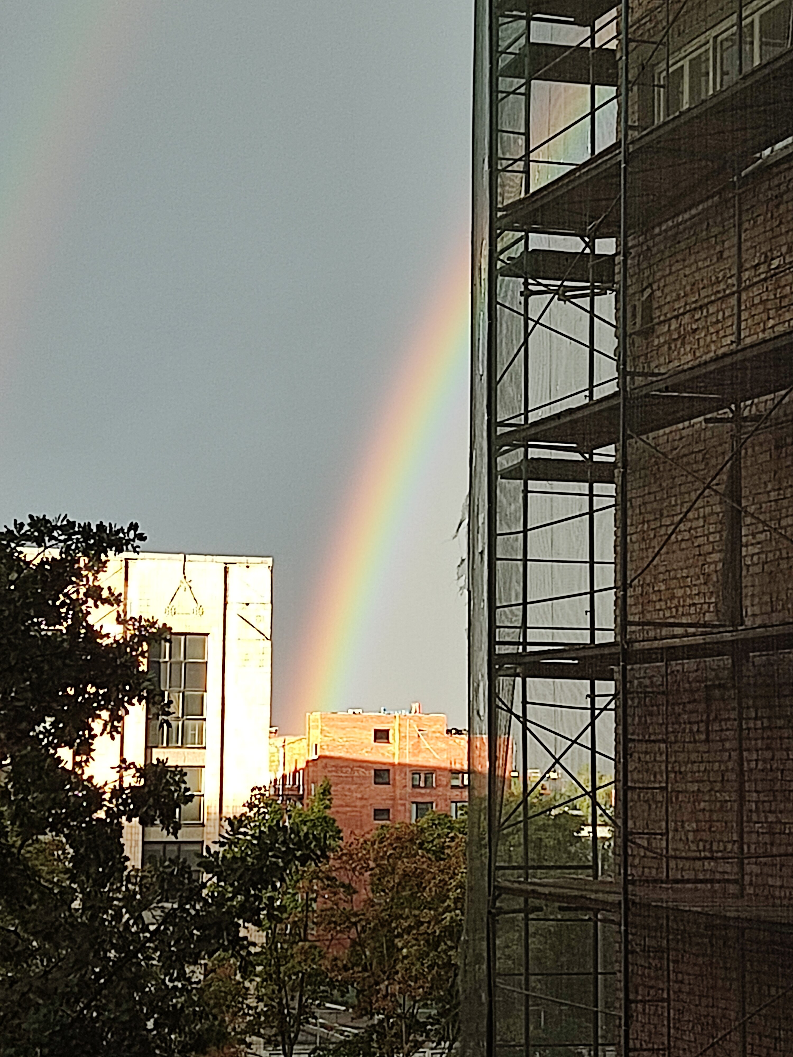 Фото Орбита