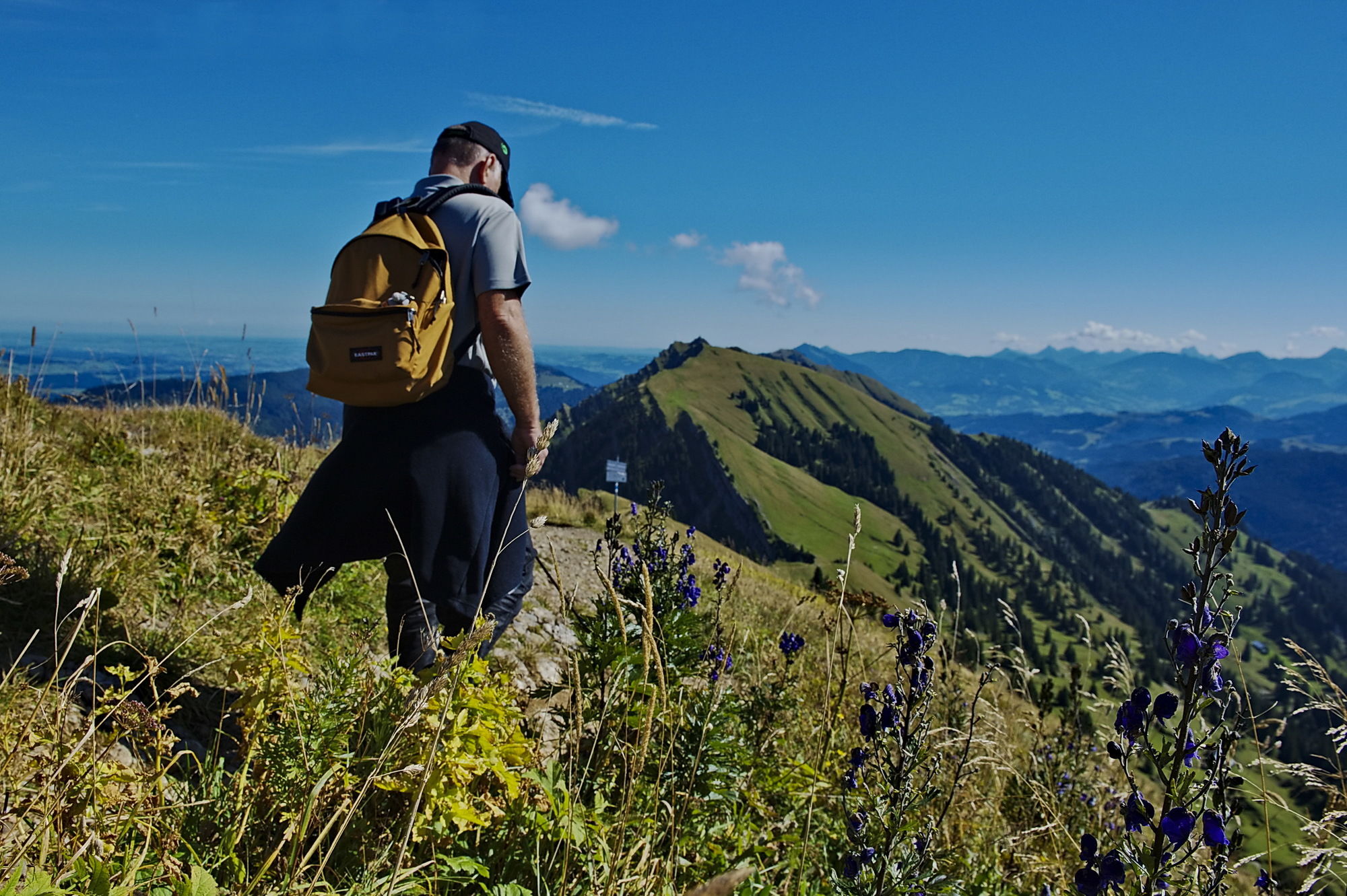 Фото Königshof Health & View