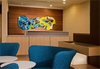 Фото Fairfield Inn & Suites by Marriott Austin-University Area