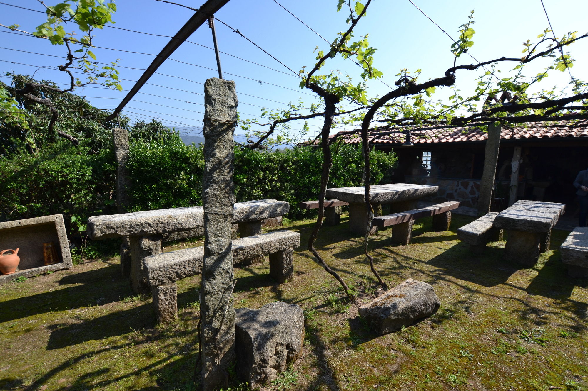 Фото Quinta da Aldeia