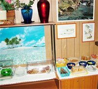 Фото Hotel Tuscolano