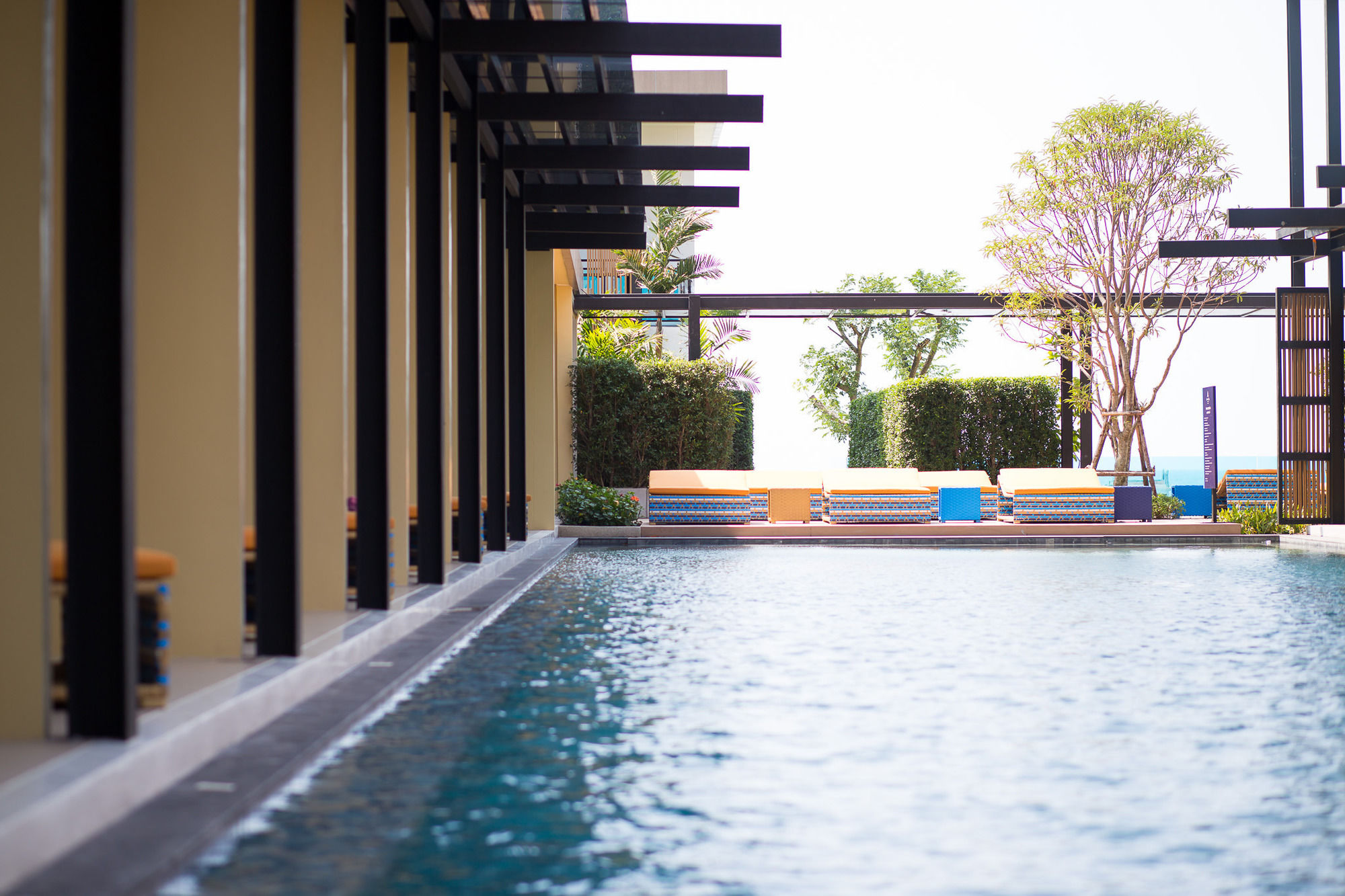 Фото Sikhara Plago Resort