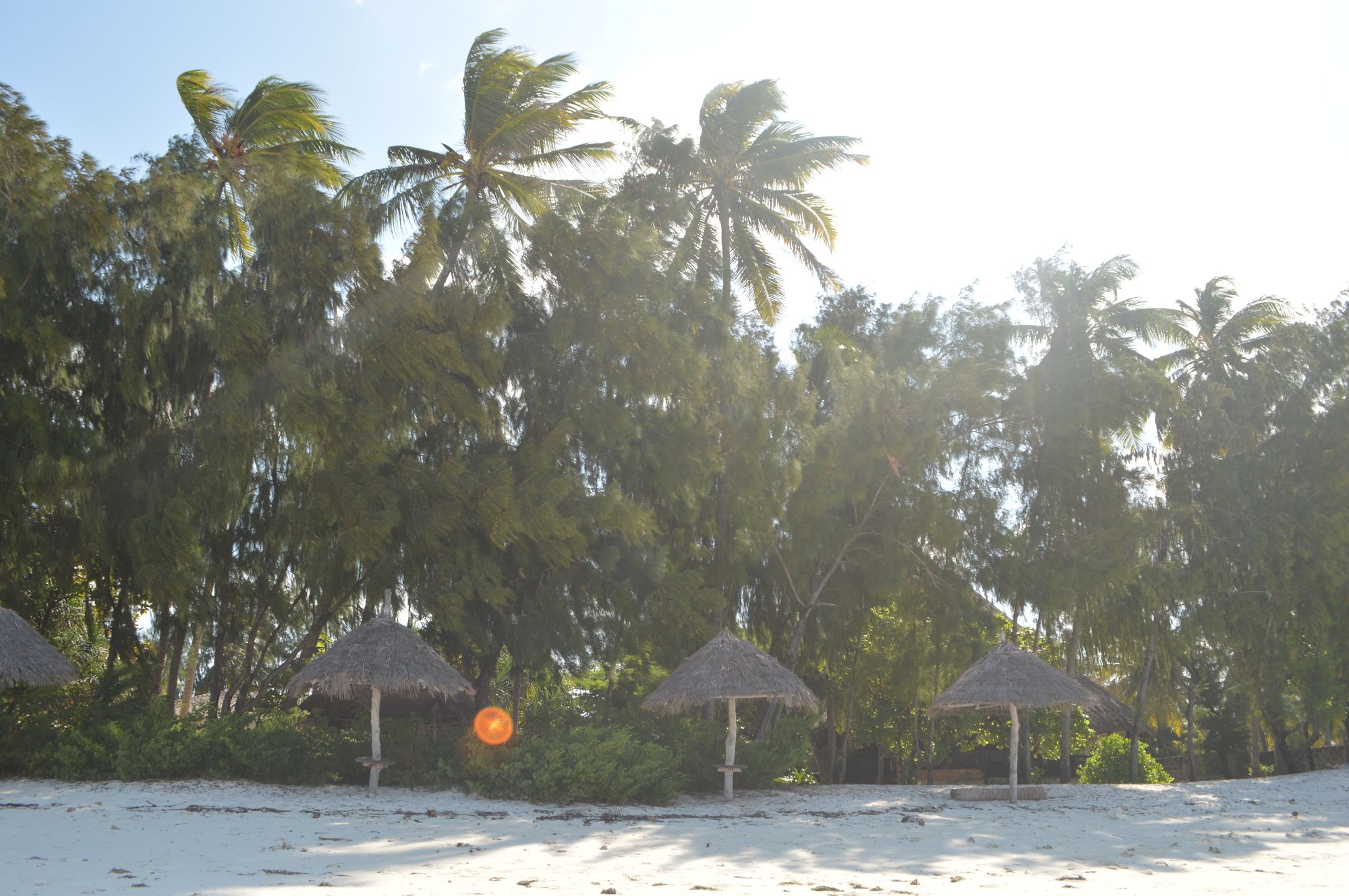 Фото Zanzibar Dream Lodge