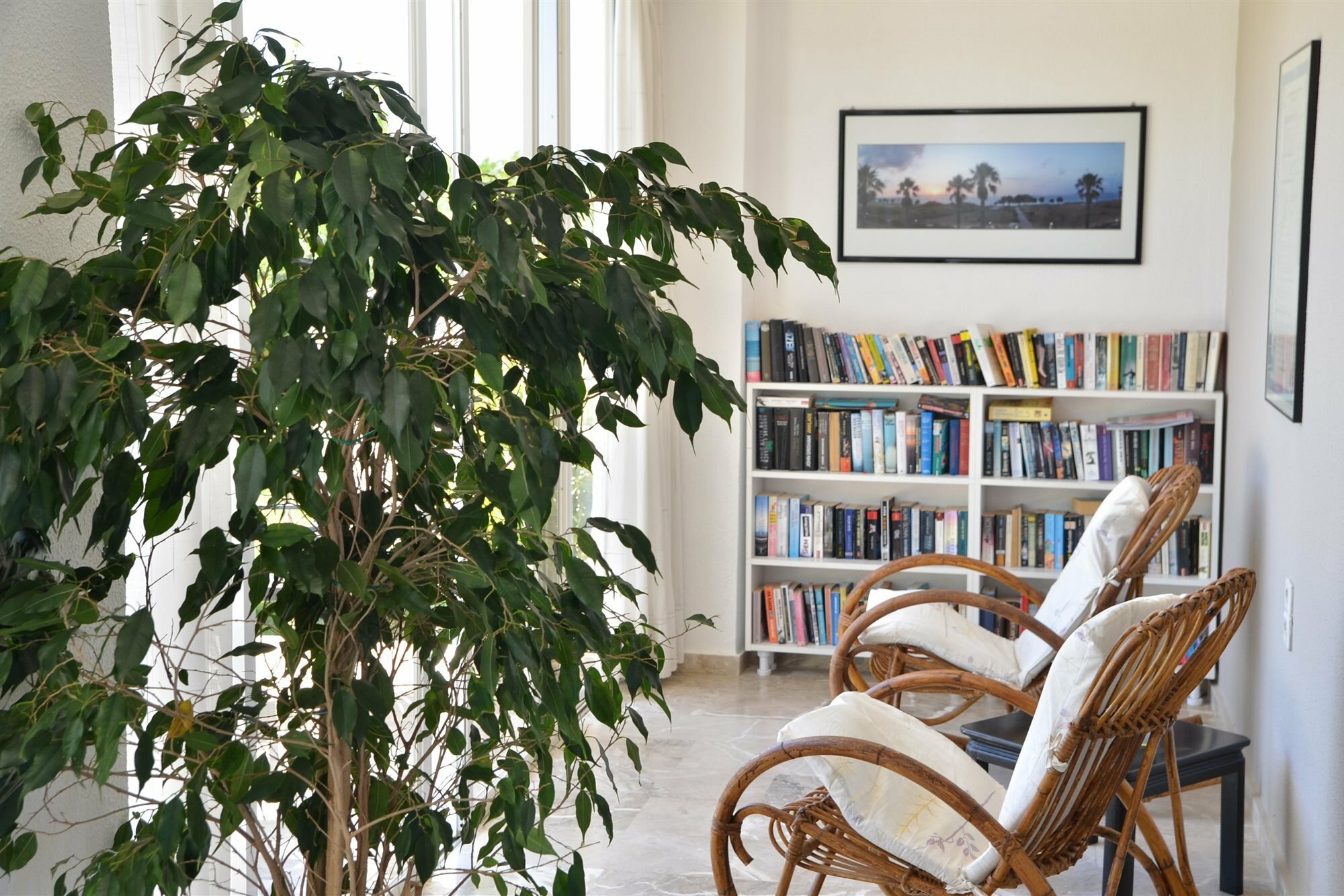 Фото Costa Angela