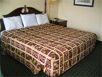 Фото Red Carpet Inn & Suites