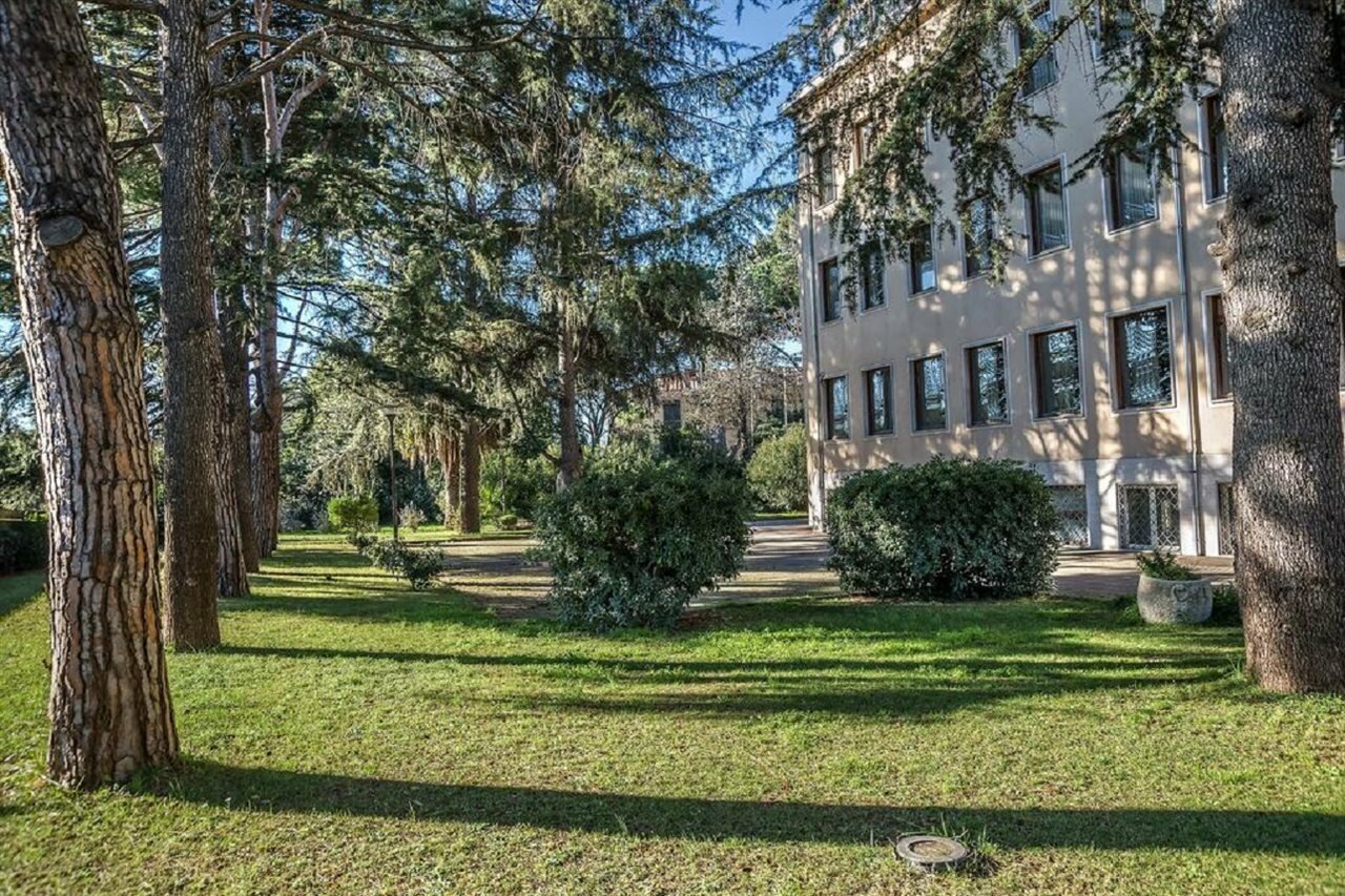 Фото Occidental Aurelia