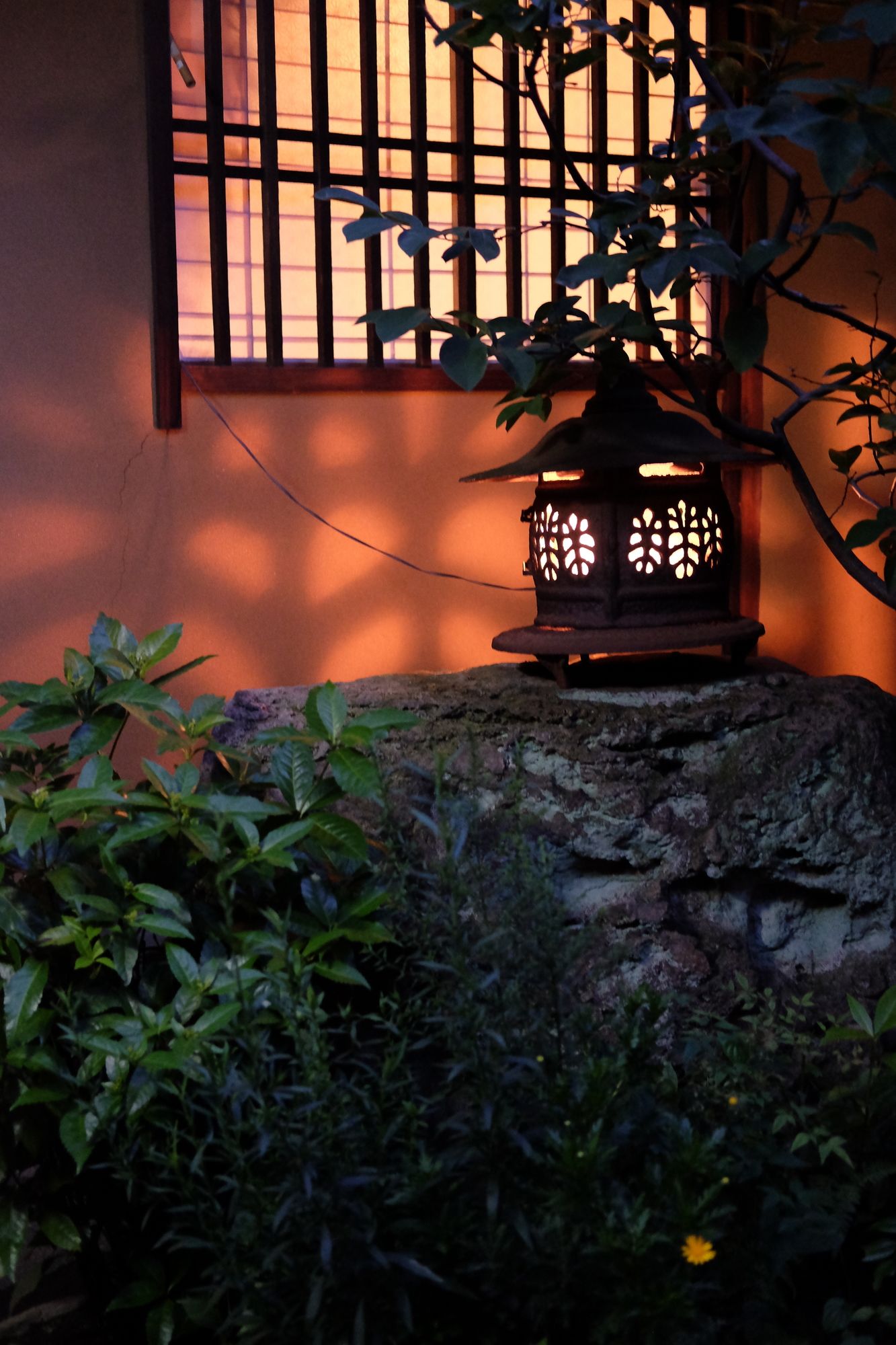 Фото Toshiharu Ryokan