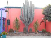 Фото Obesa Lodge