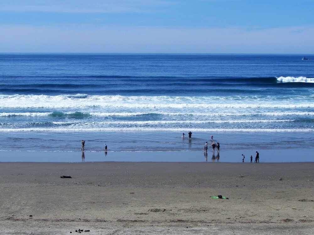 Фото Driftwood Shores Resort And Conference Center