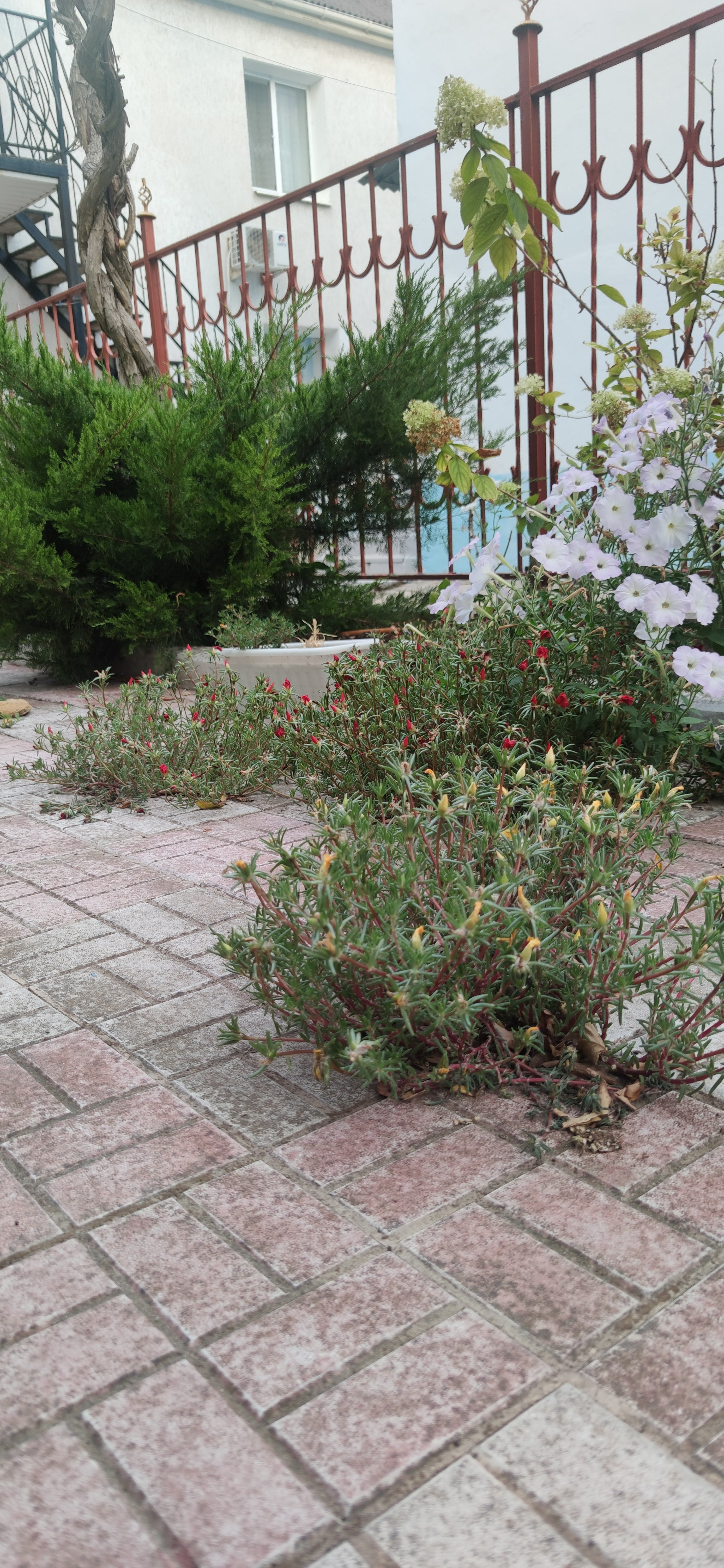 Фото Зеленый дом у маяка