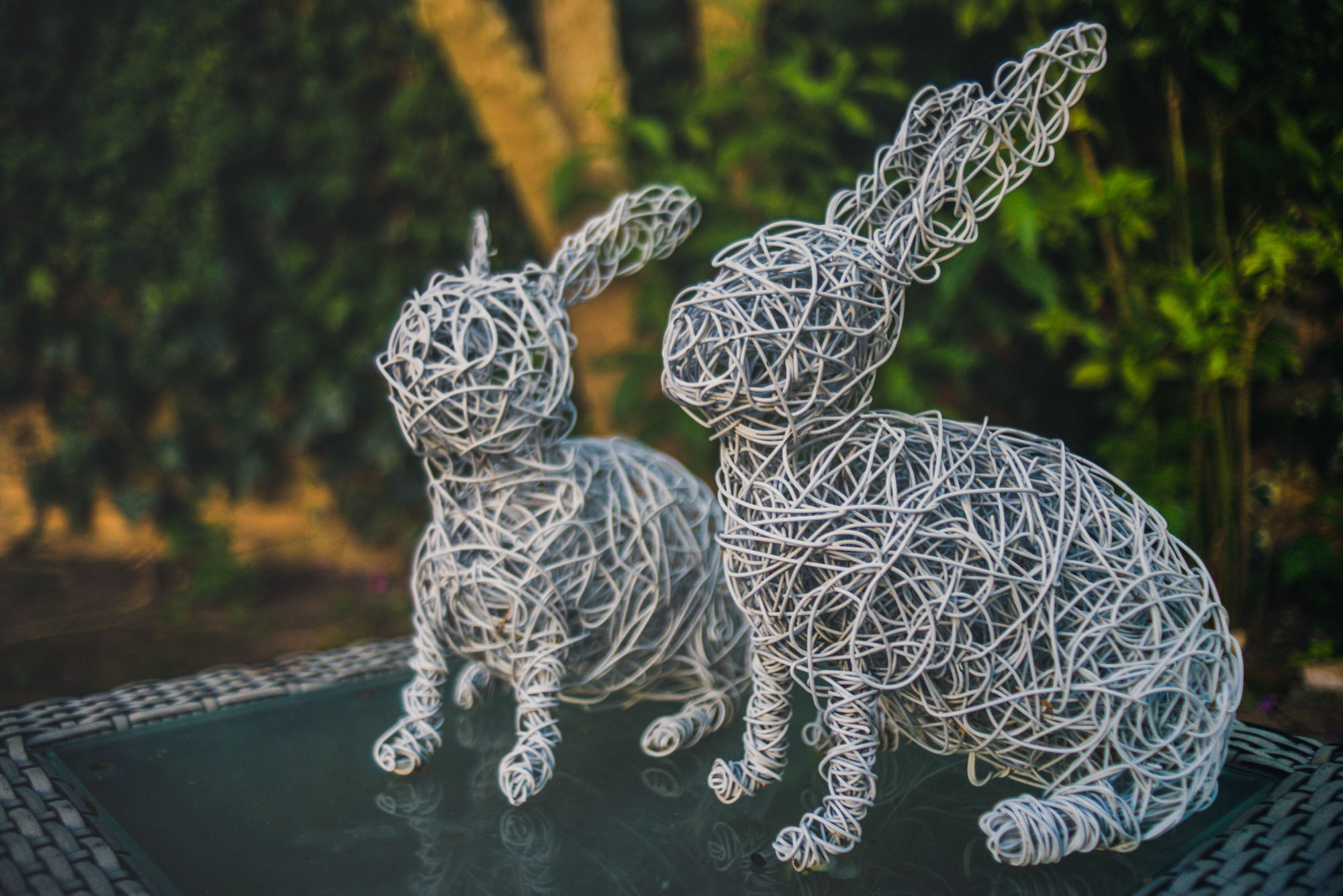 Фото Rosedene Guest House