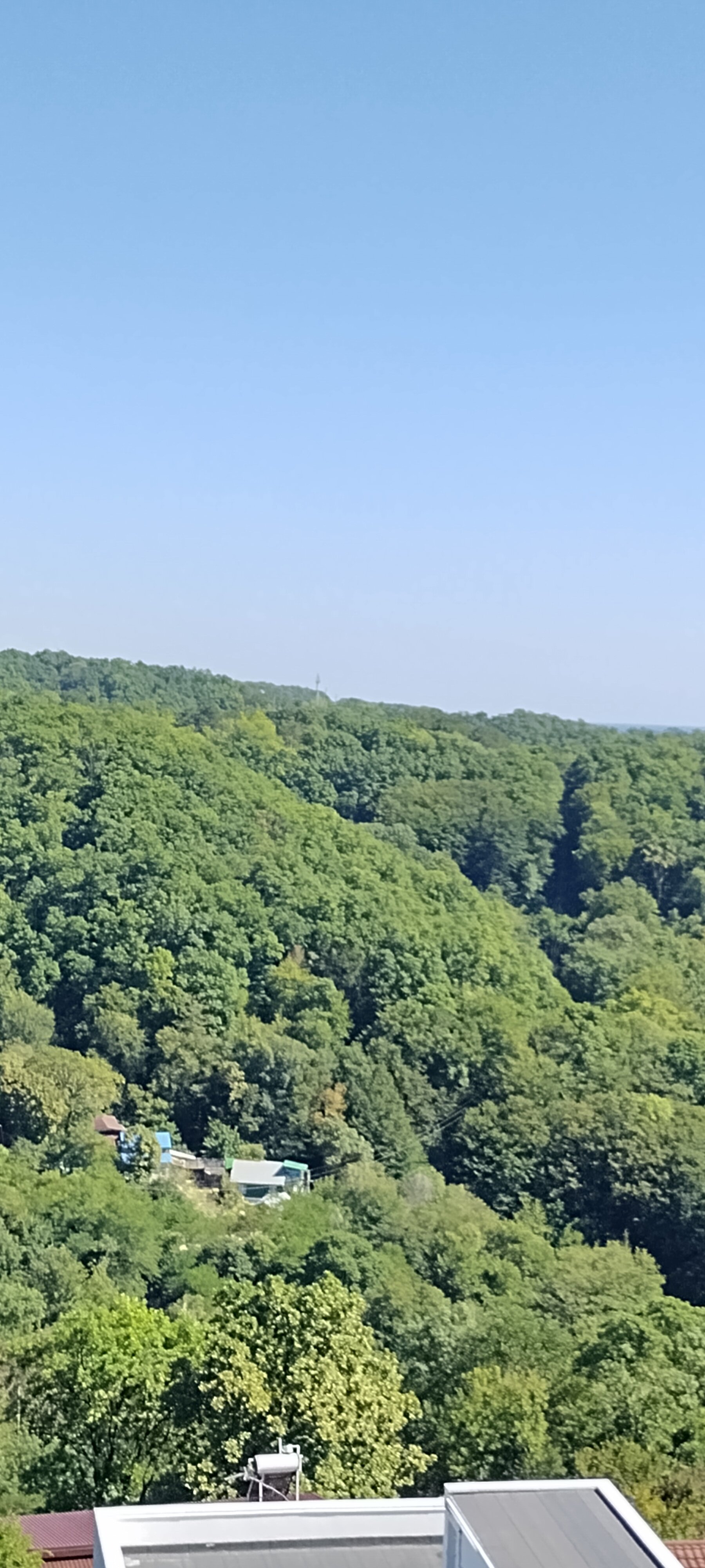 Фото Любовь