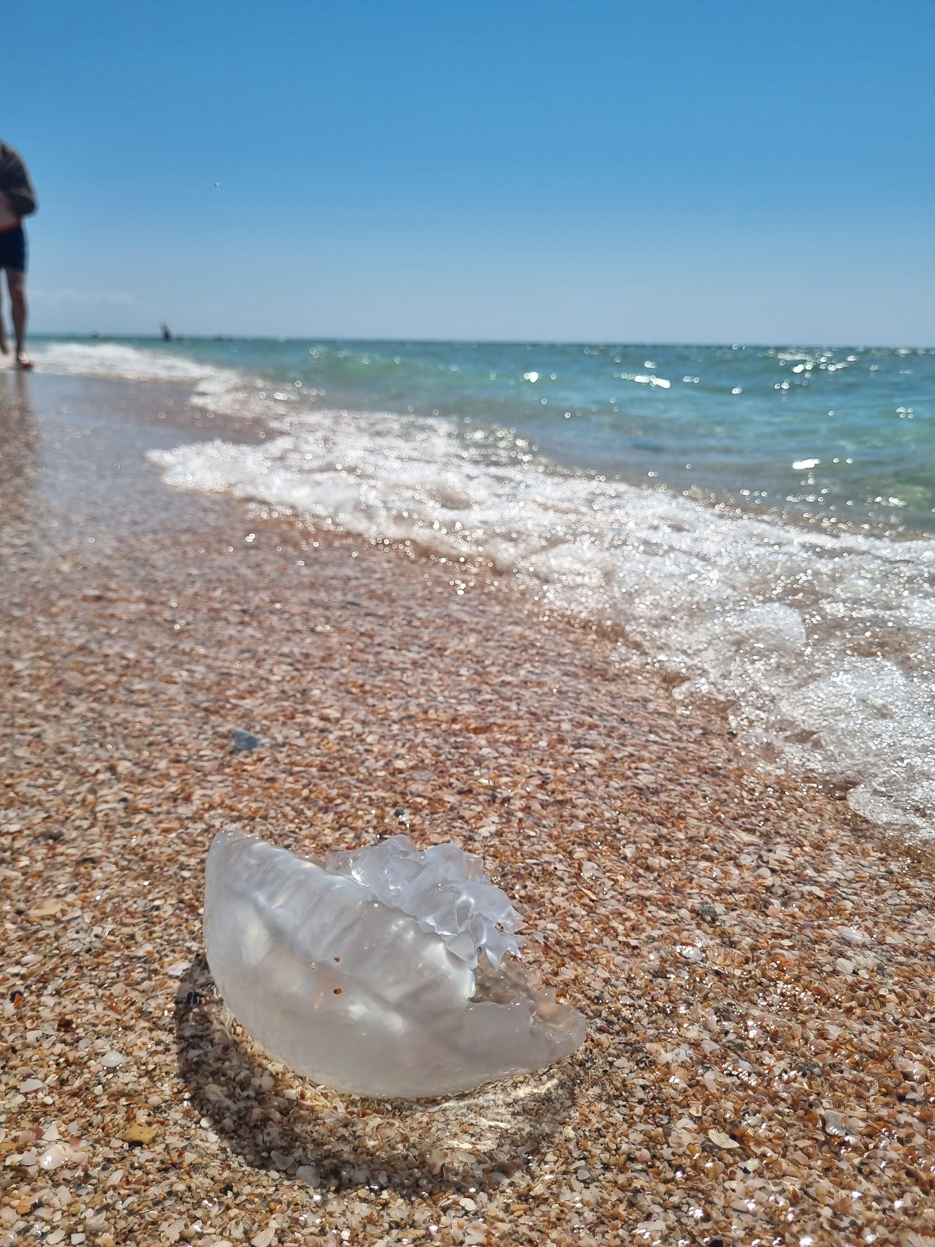 Фото Легенда Крыма