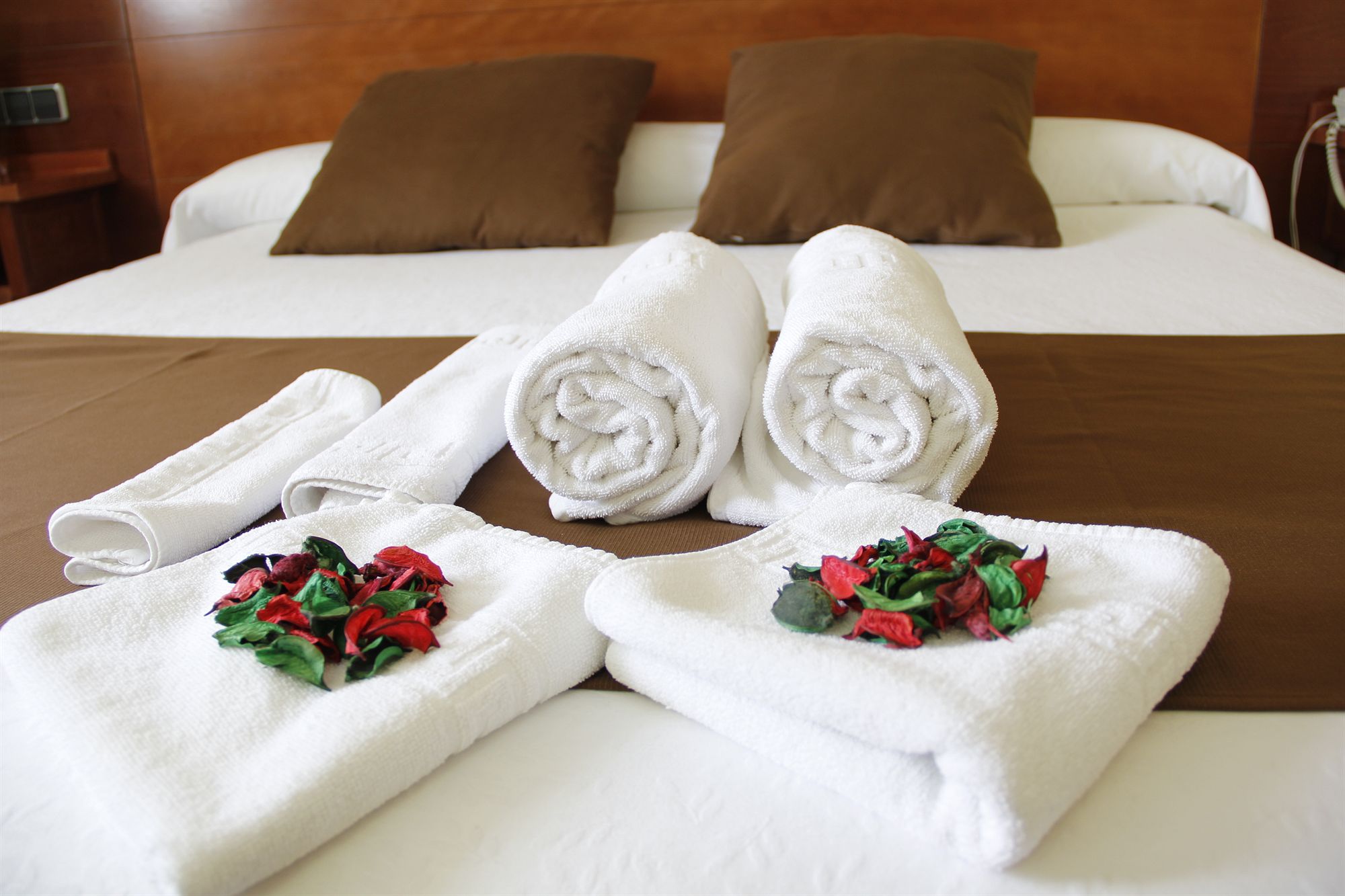 Фото Hotel Hidalgo