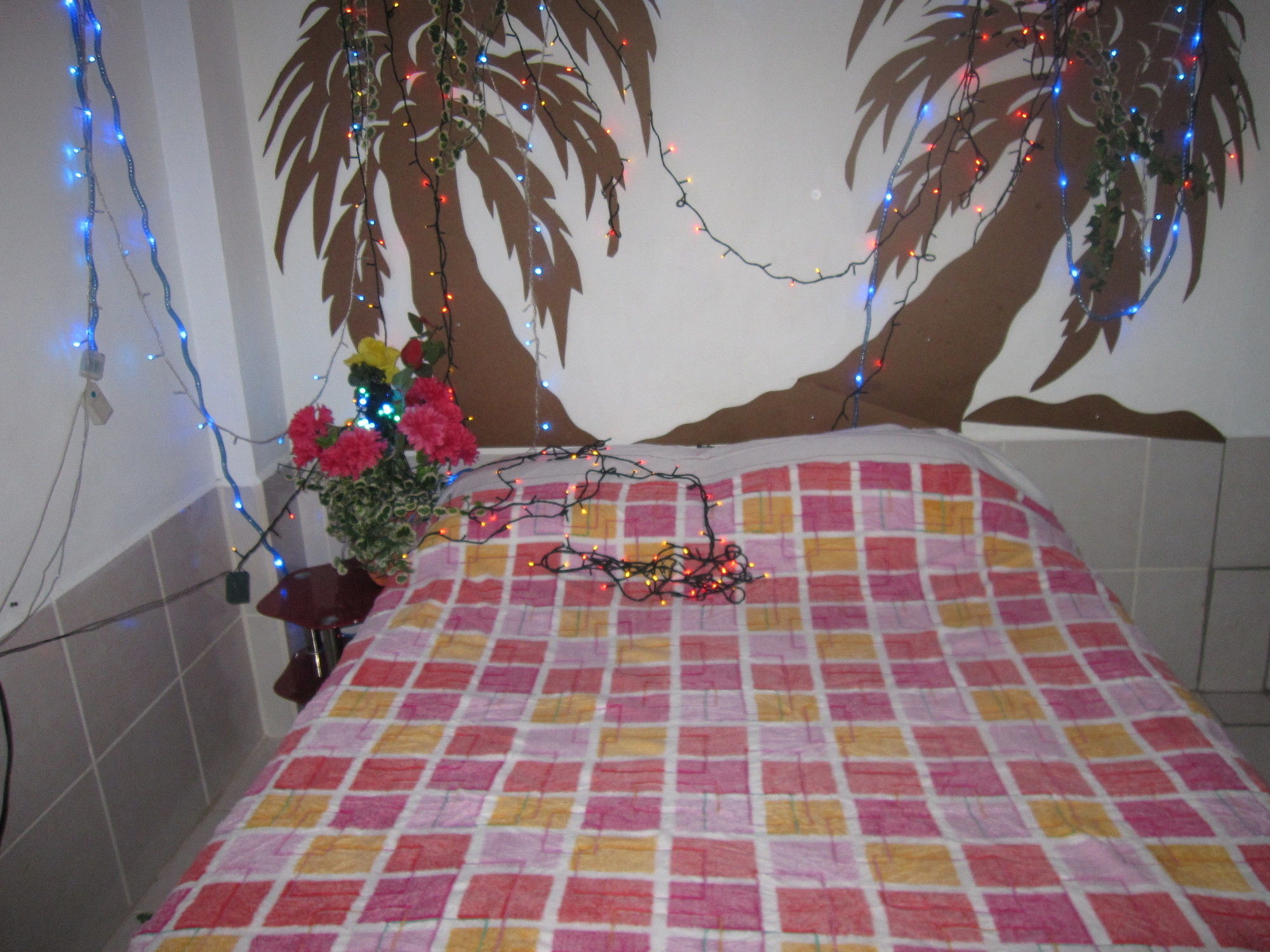 Фото Bachelor Inn Hotel