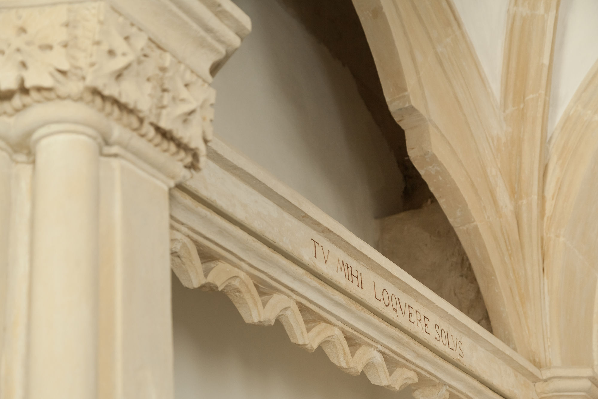 Фото Villa Boscarino