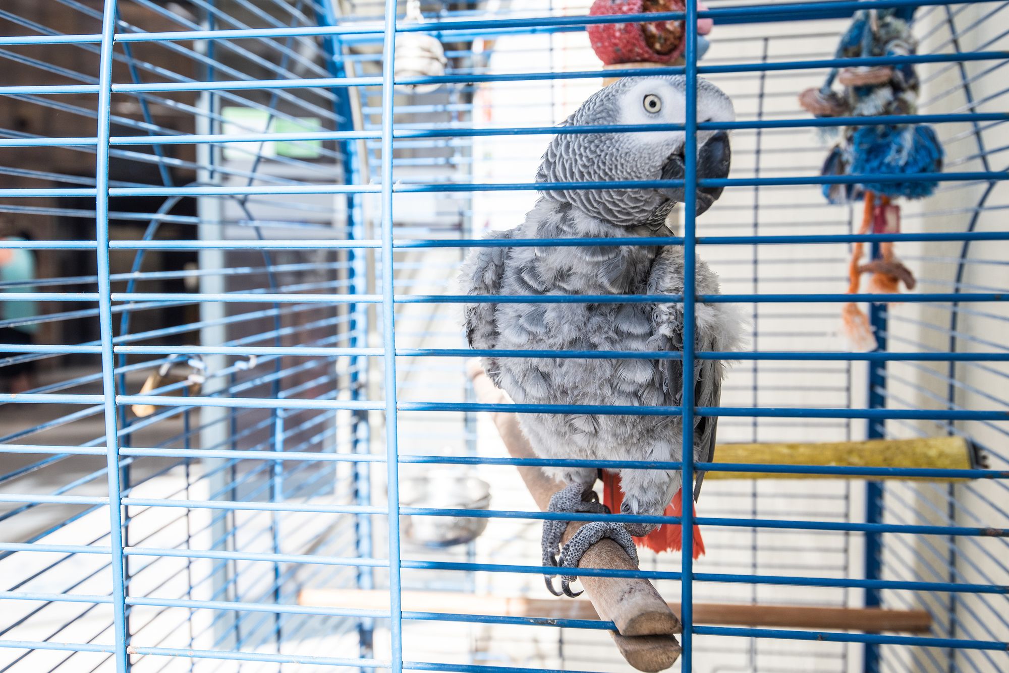 Фото First Group Margate Sands