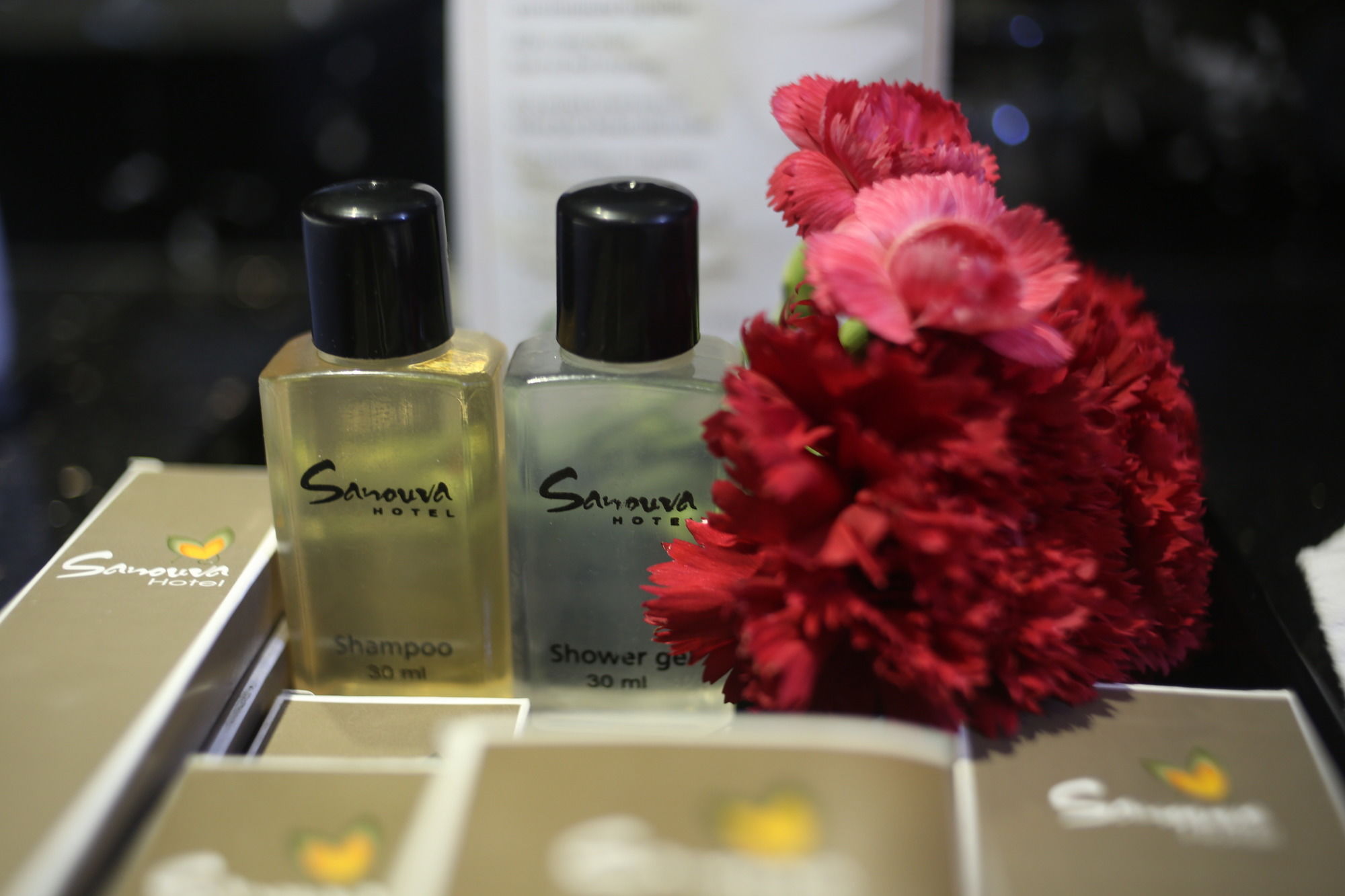 Фото Отель Sanouva Danang