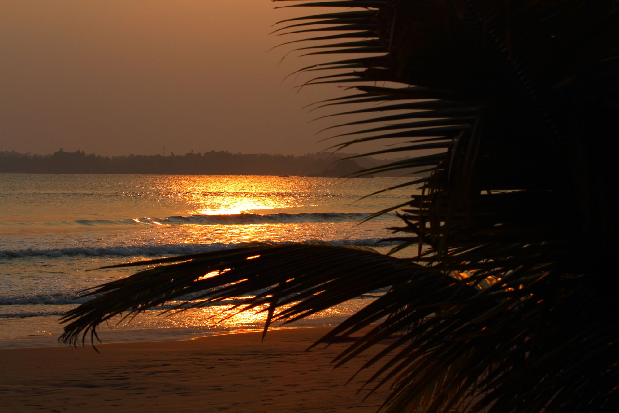 Фото Jaga Bay Resort