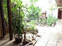 Фото Mango Lagoon Place