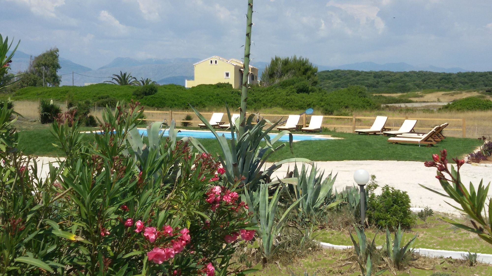 Фото Elli Beach Apartments and Studios