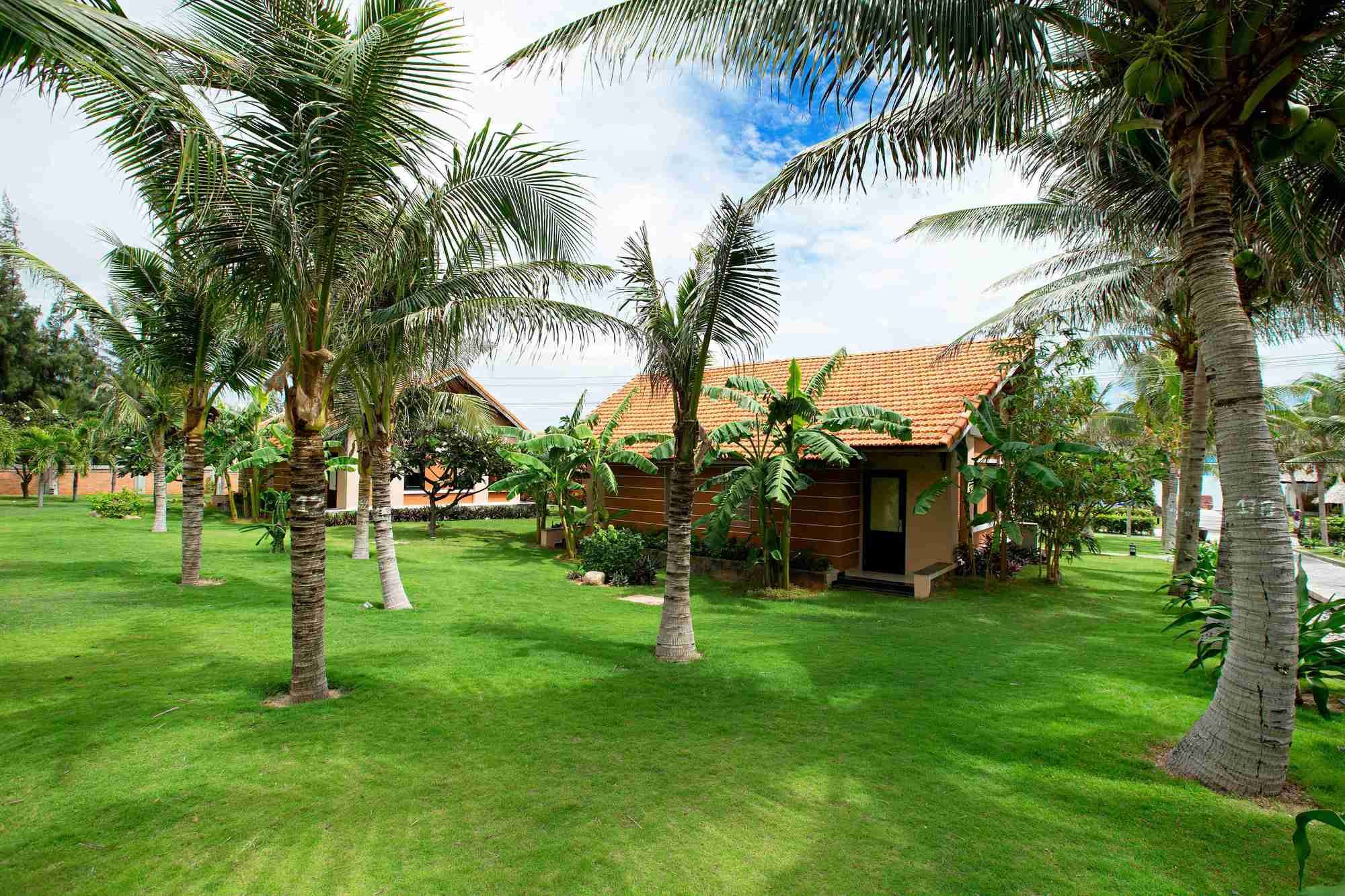 Фото Blue Bay Mui Ne Resort & SPA