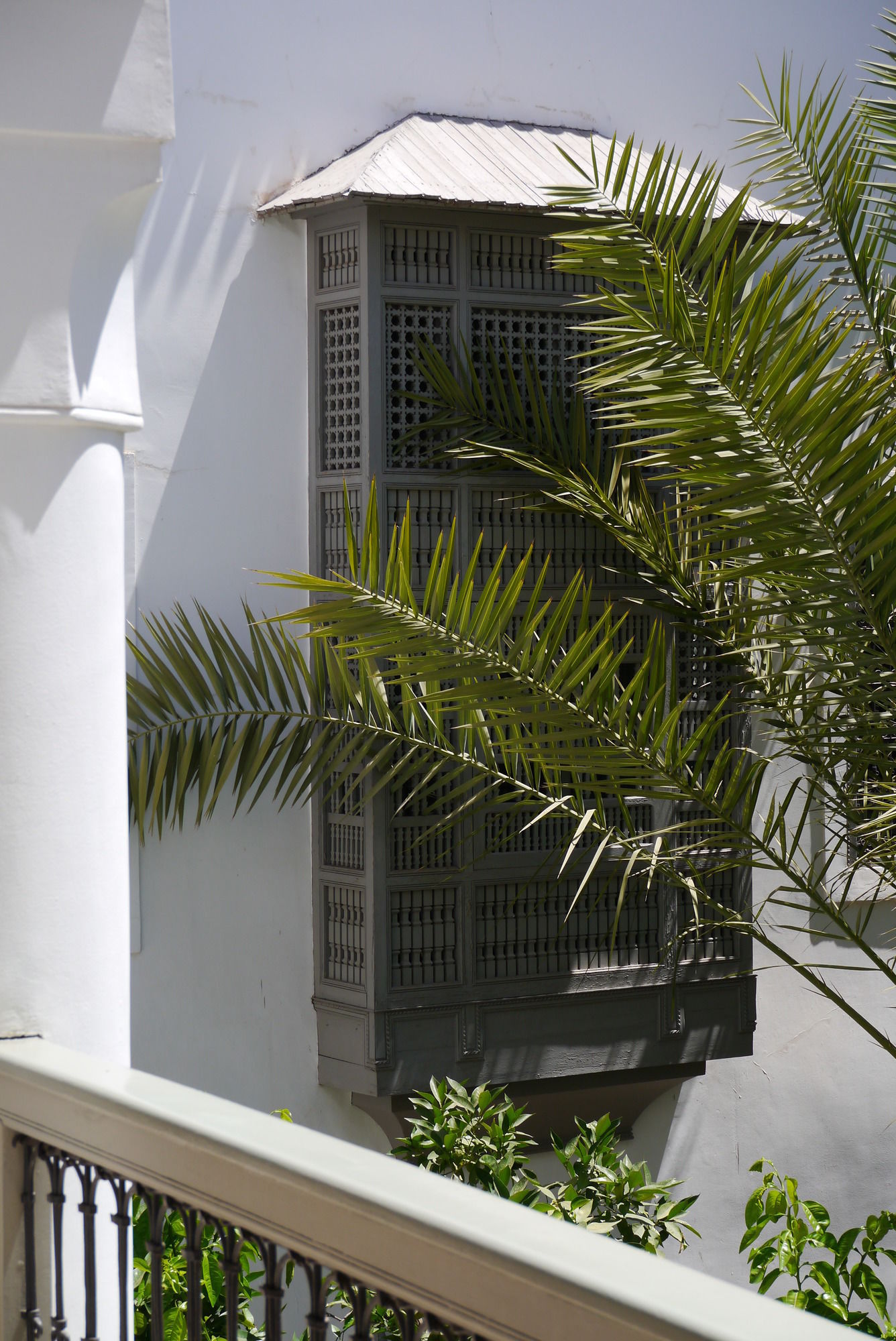 Фото Riad Talaa 12