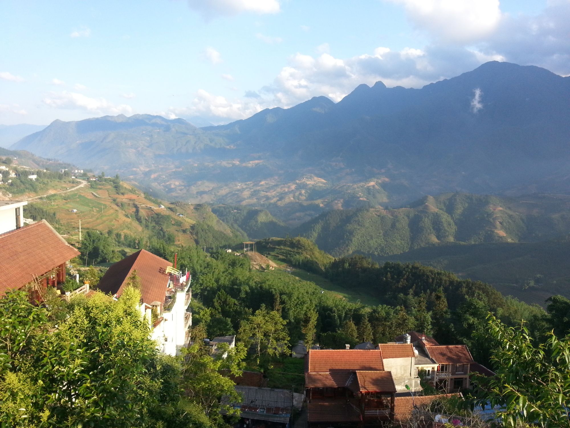 Фото Cat Cat View