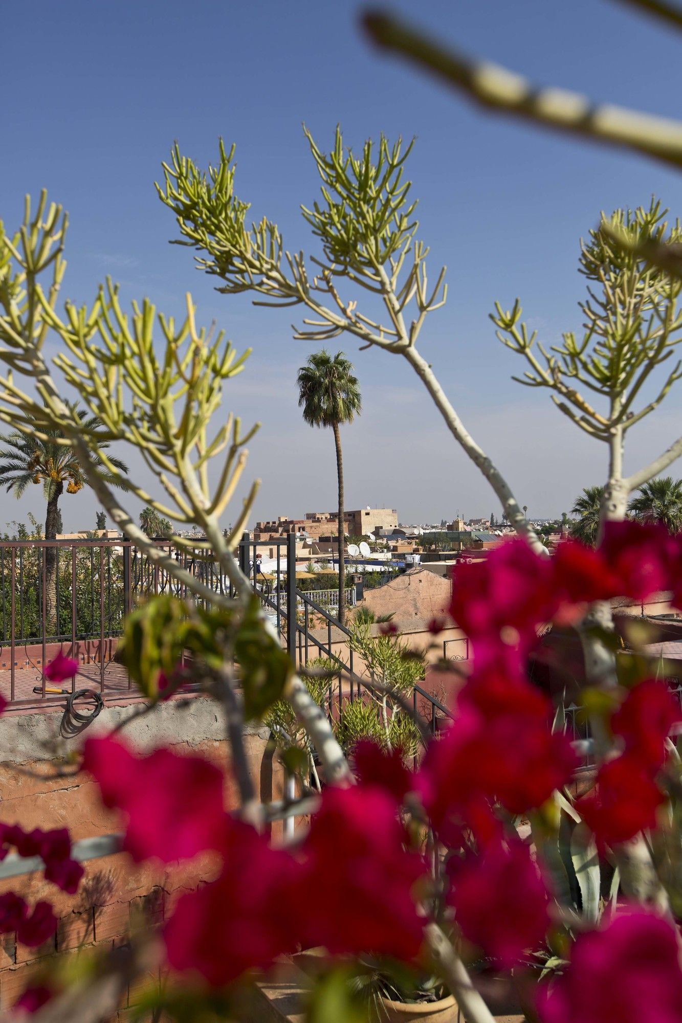 Фото Riad Dar One