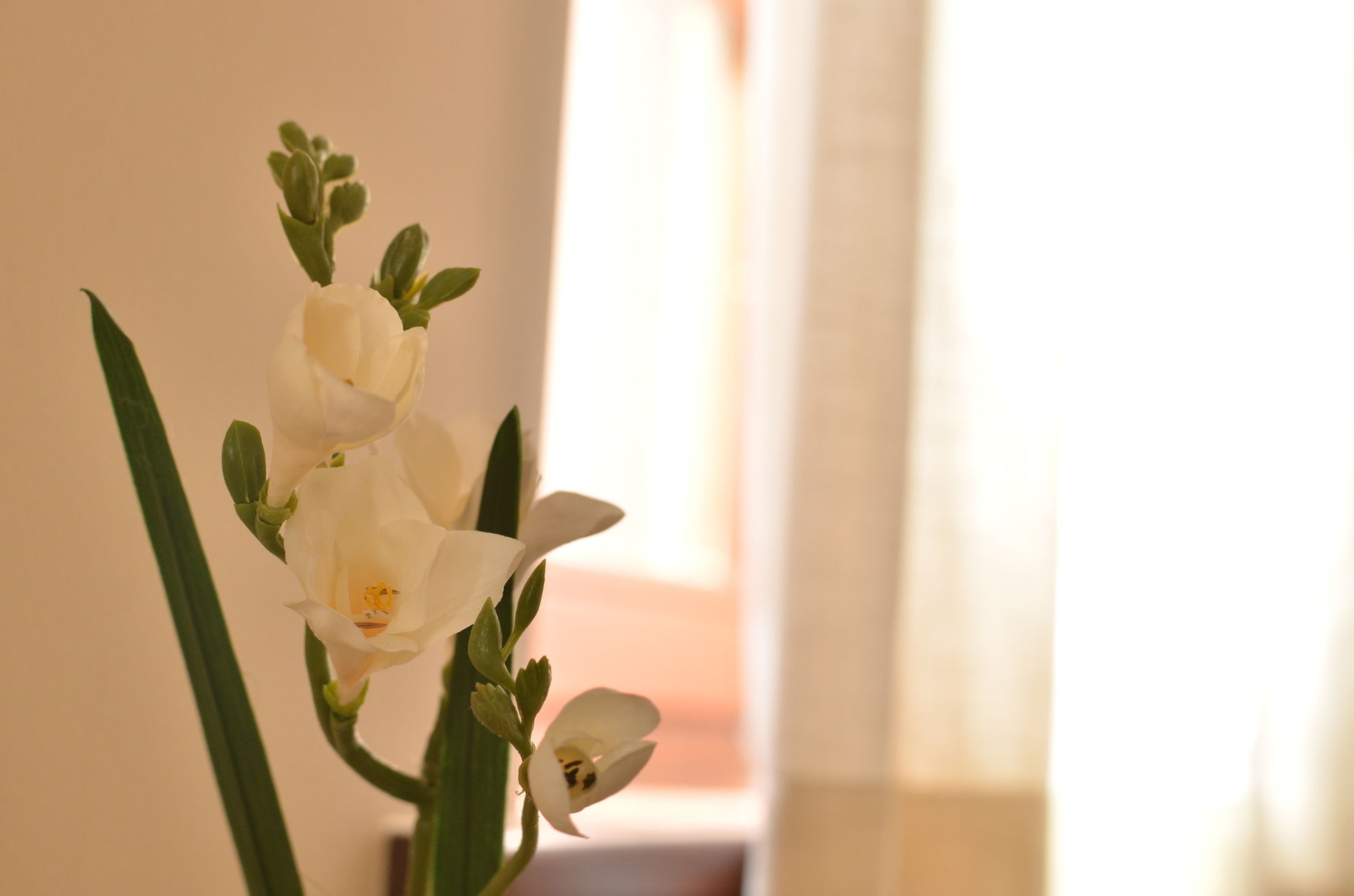 Фото Dilofo Hotel Luxury Suites