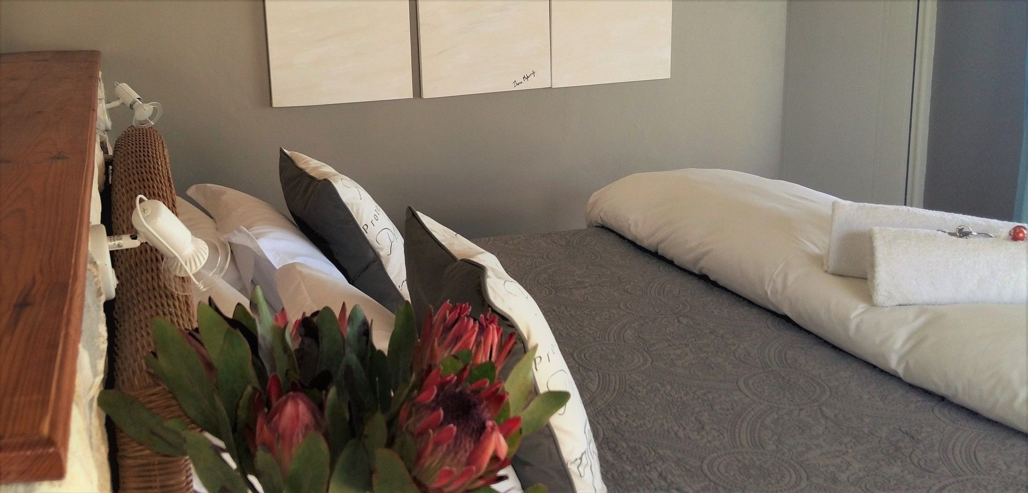 Фото Kleinzee Oceanfront Guesthouse