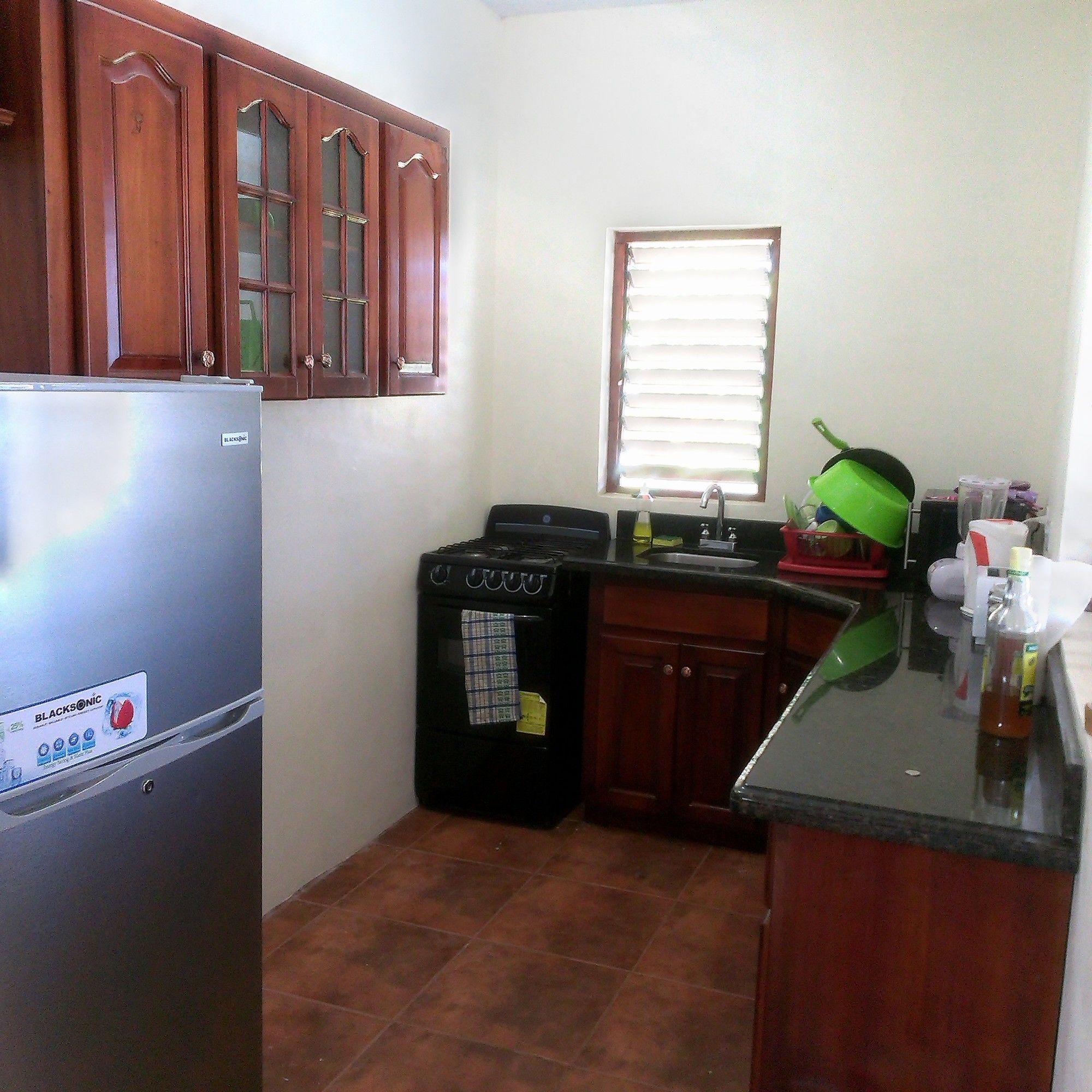 Фото Ocho Rios Pimento Villas