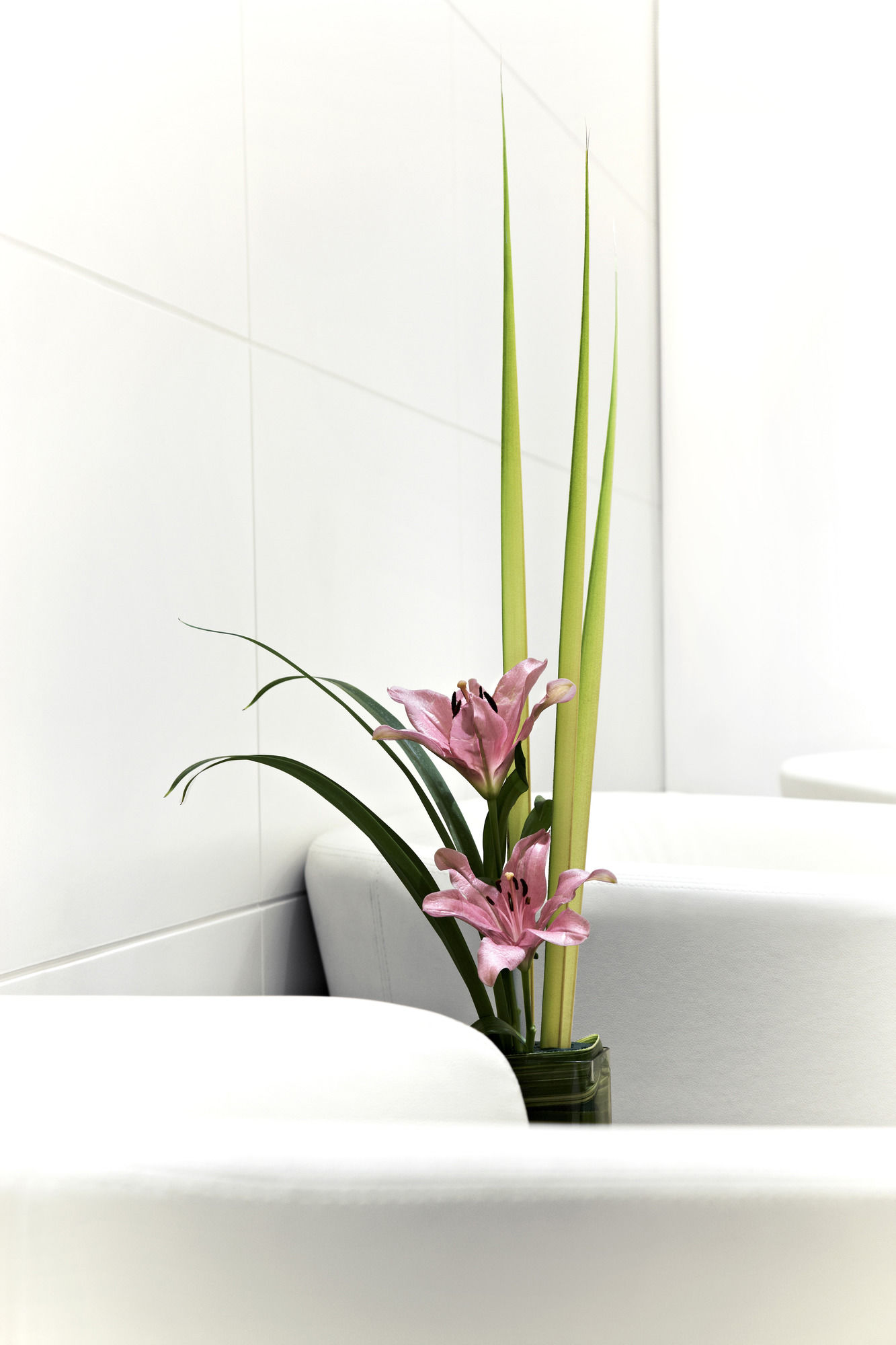 Фото President, Mumbai - Ihcl SeleQtions