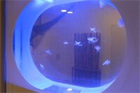 Фото Casual del Mar Málaga