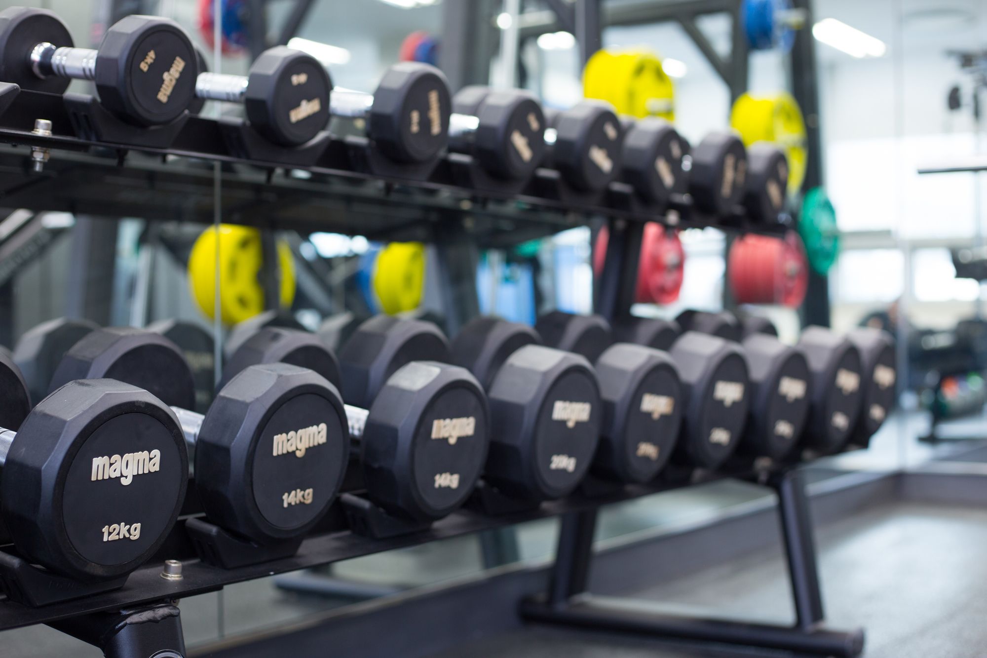 Фото Felix by Stx