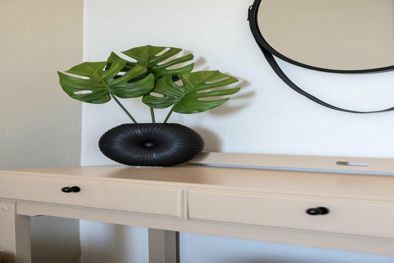 Фото Zephyros Hotel