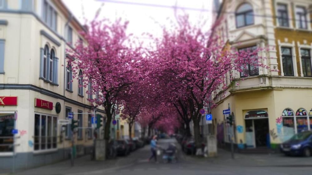 Фото Hotel Mercedes