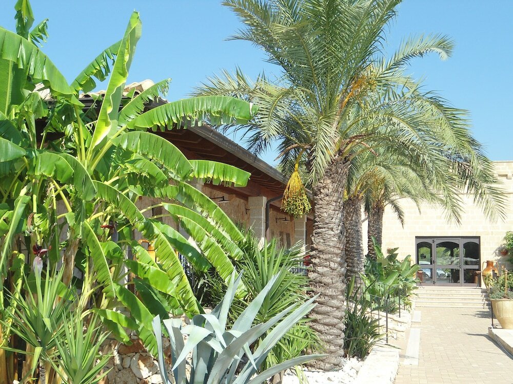 Фото 224685354298