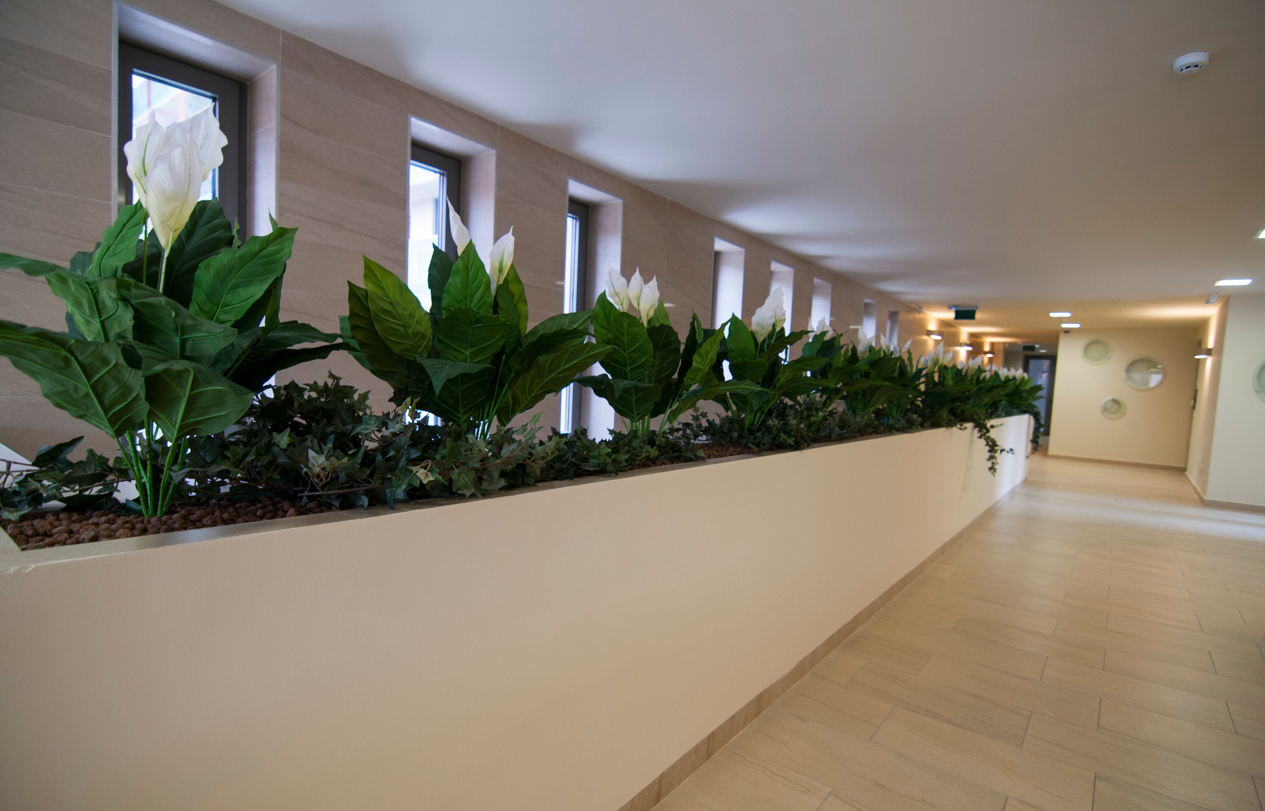 Фото Corvin Center Suites