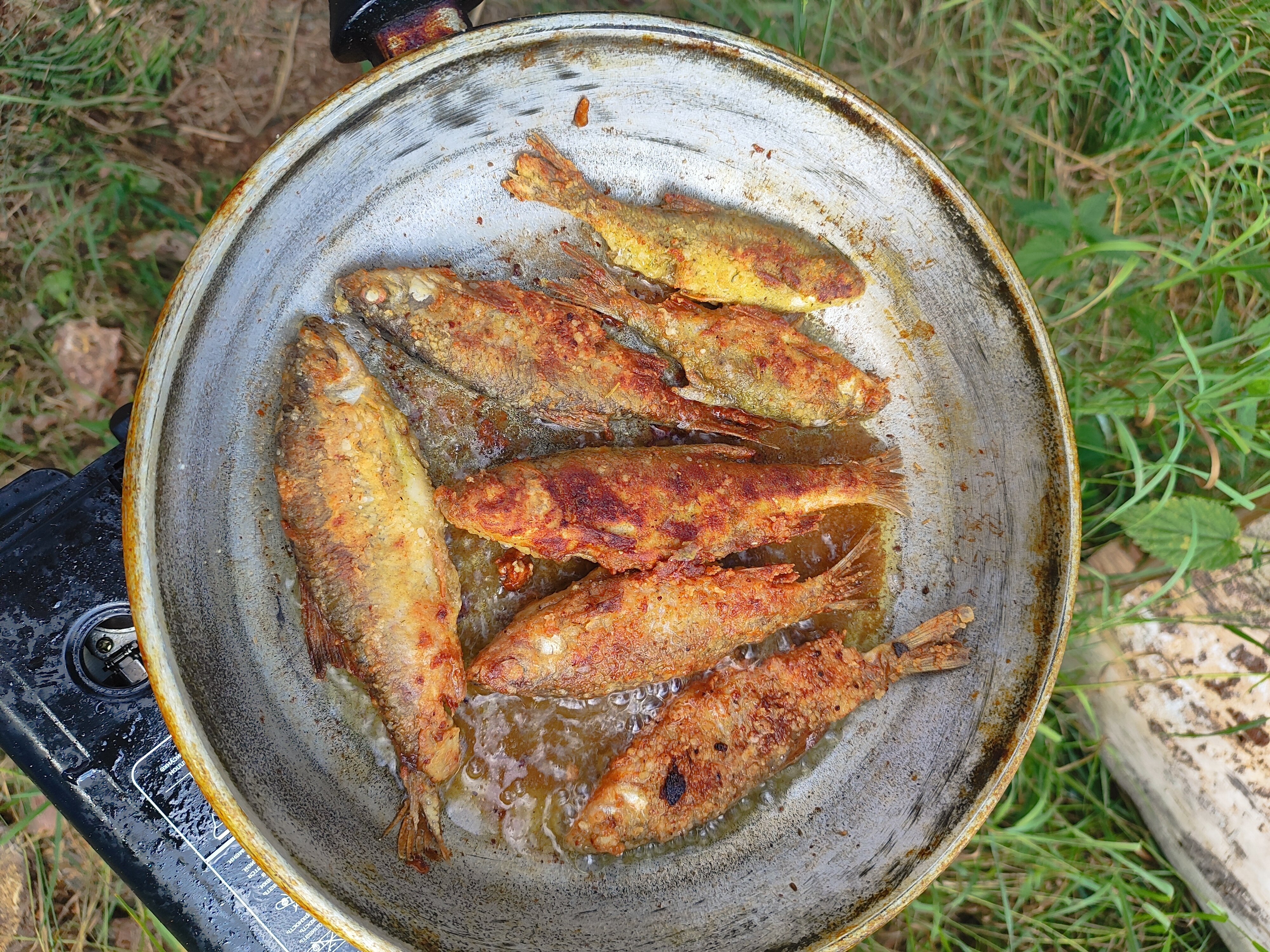 Фото У родника