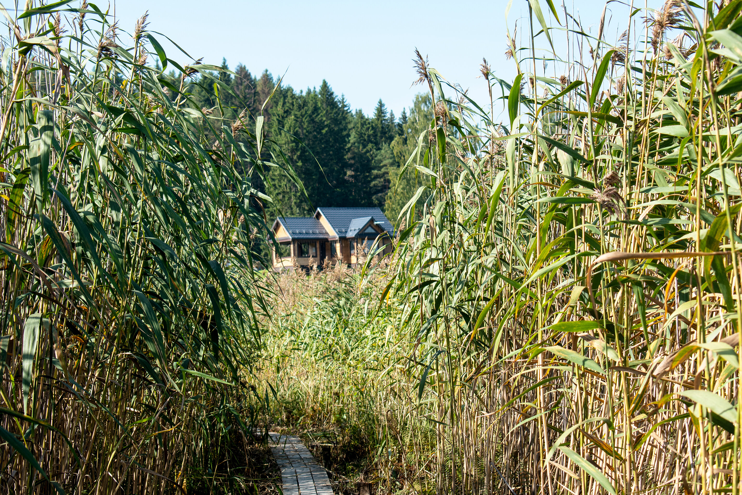 Фото Киркколампи