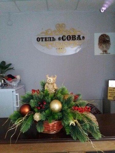 Внешний вид отеля Сова в Моздоке, фото 2