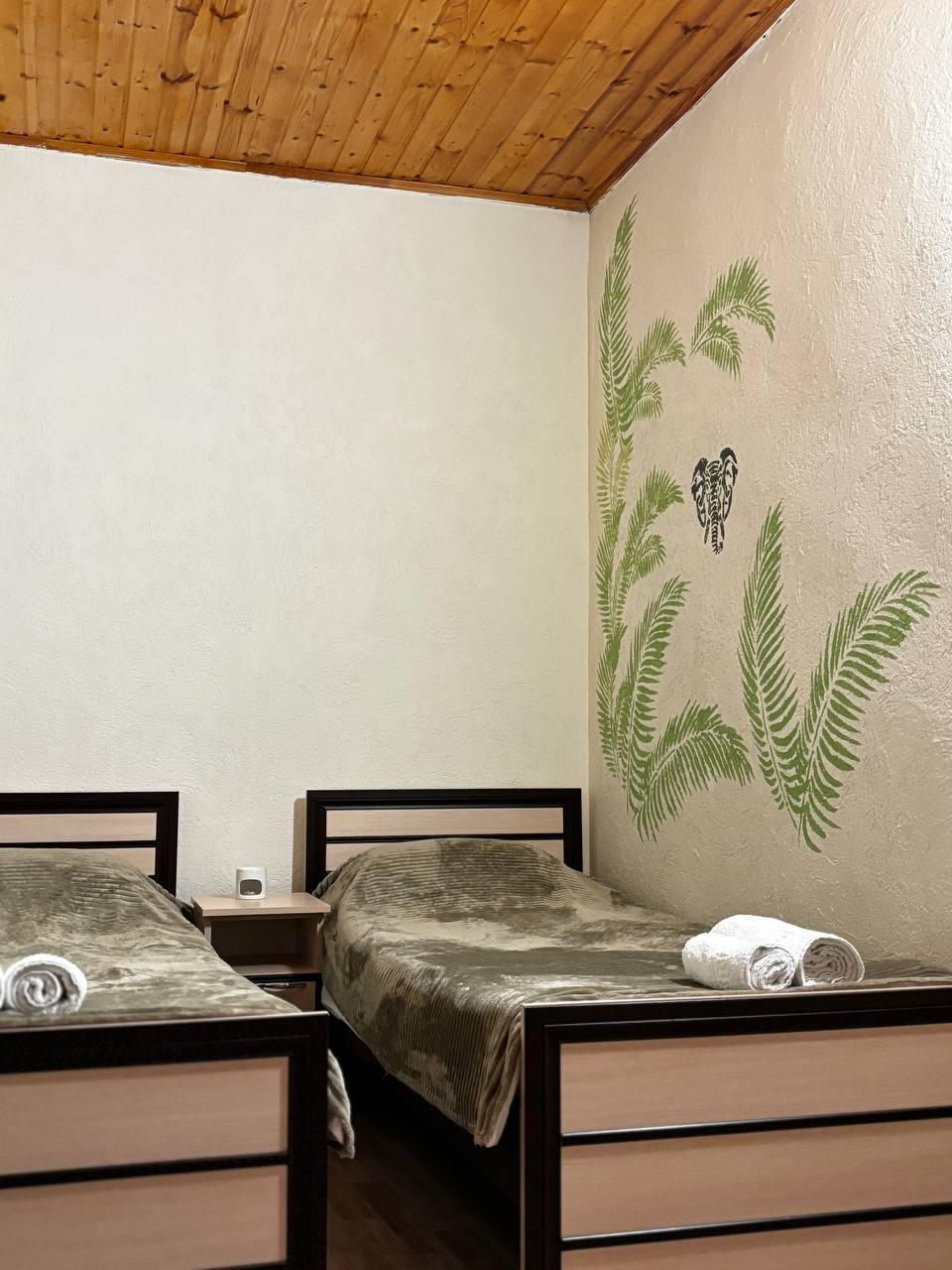 Фото Тропики